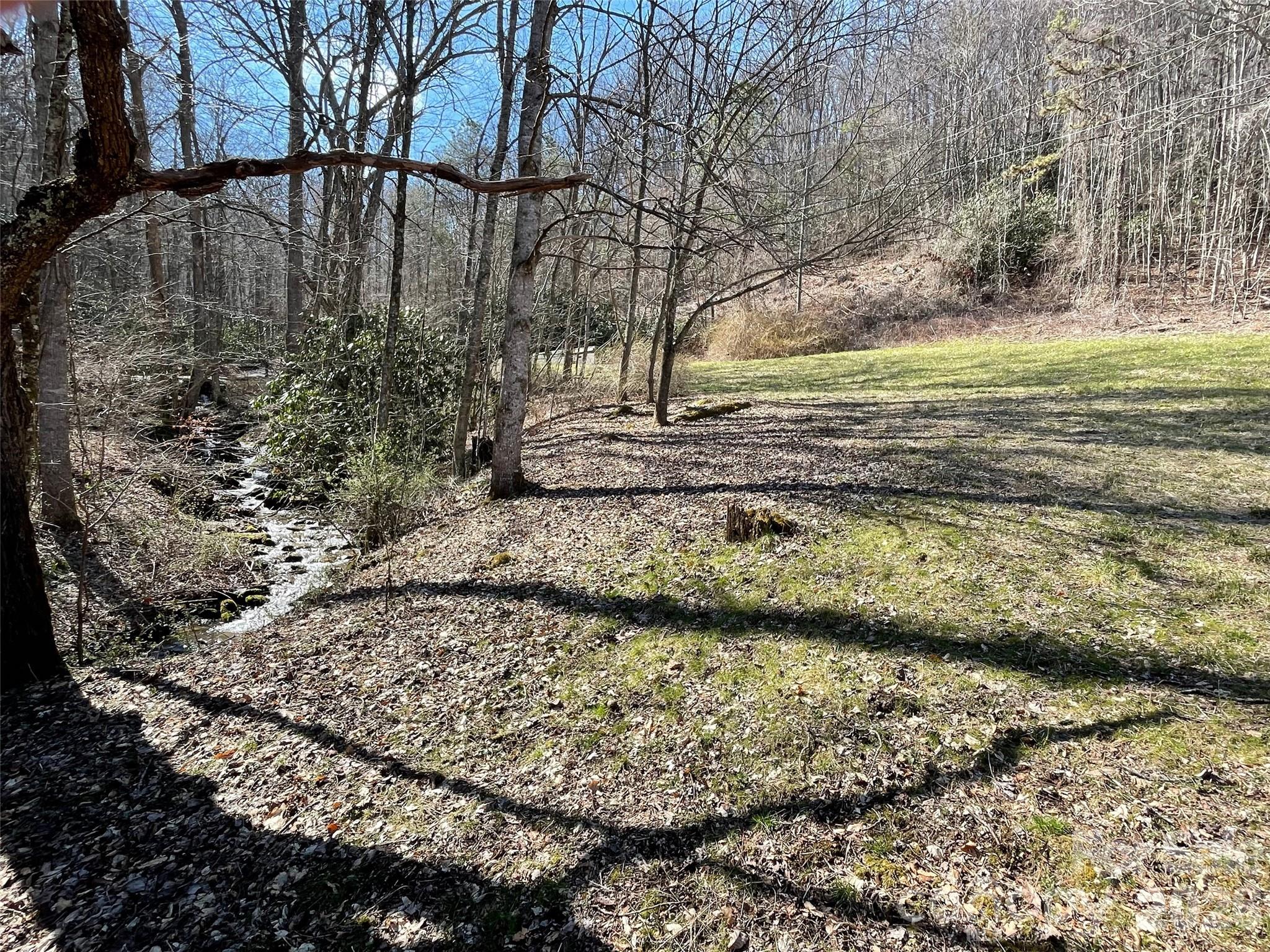 81 Peepeye Cove Road Leicester, NC 28748 - Photo 1 of 14