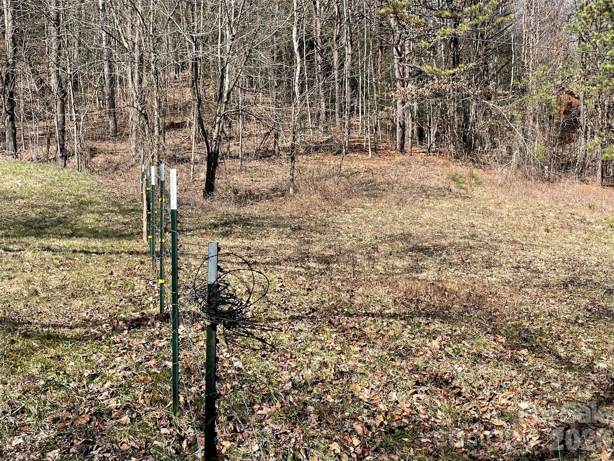 81 Peepeye Cove Road Leicester, NC 28748 - Photo 11 of 14