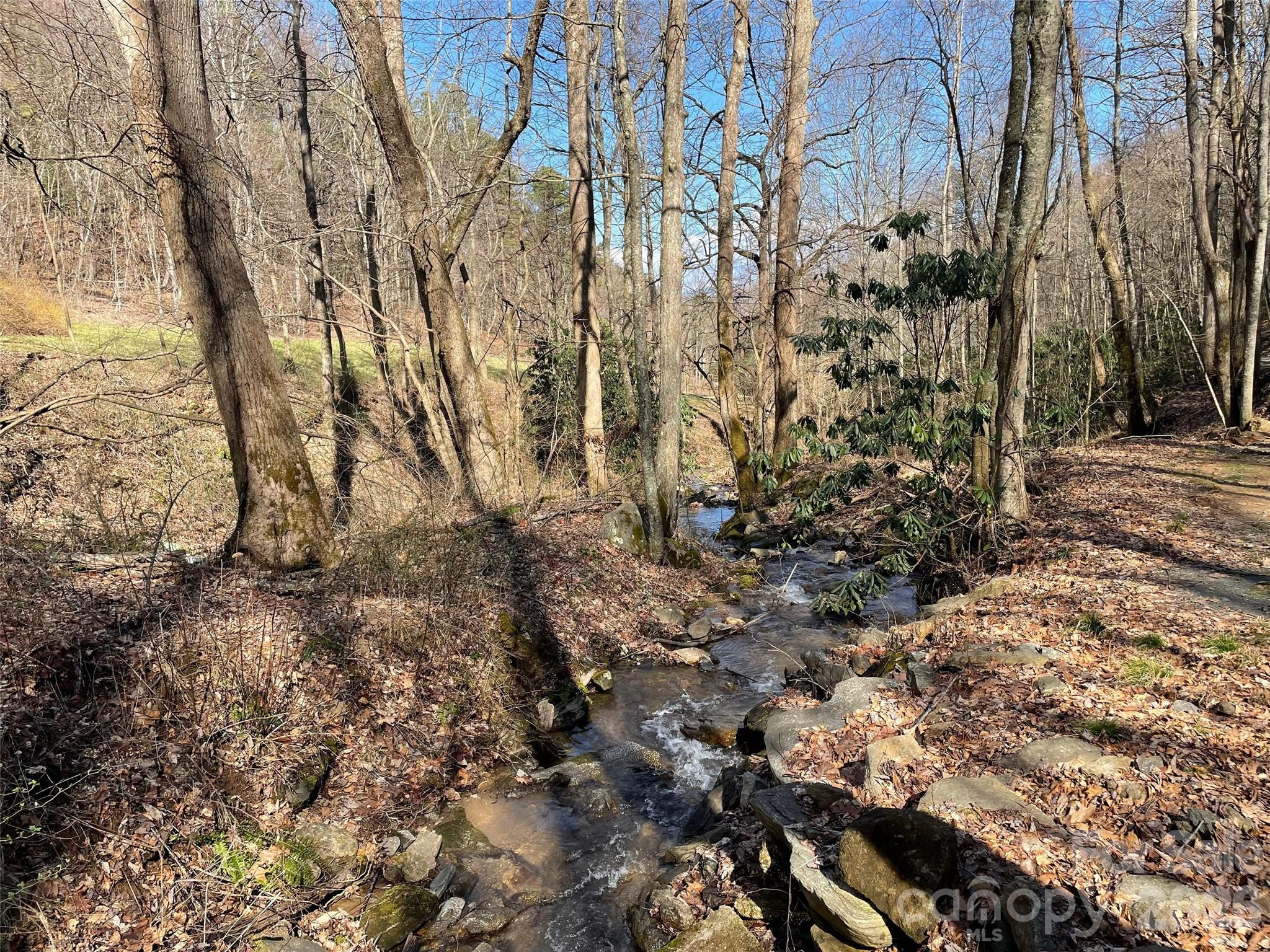 81 Peepeye Cove Road Leicester, NC 28748 - Photo 12 of 14