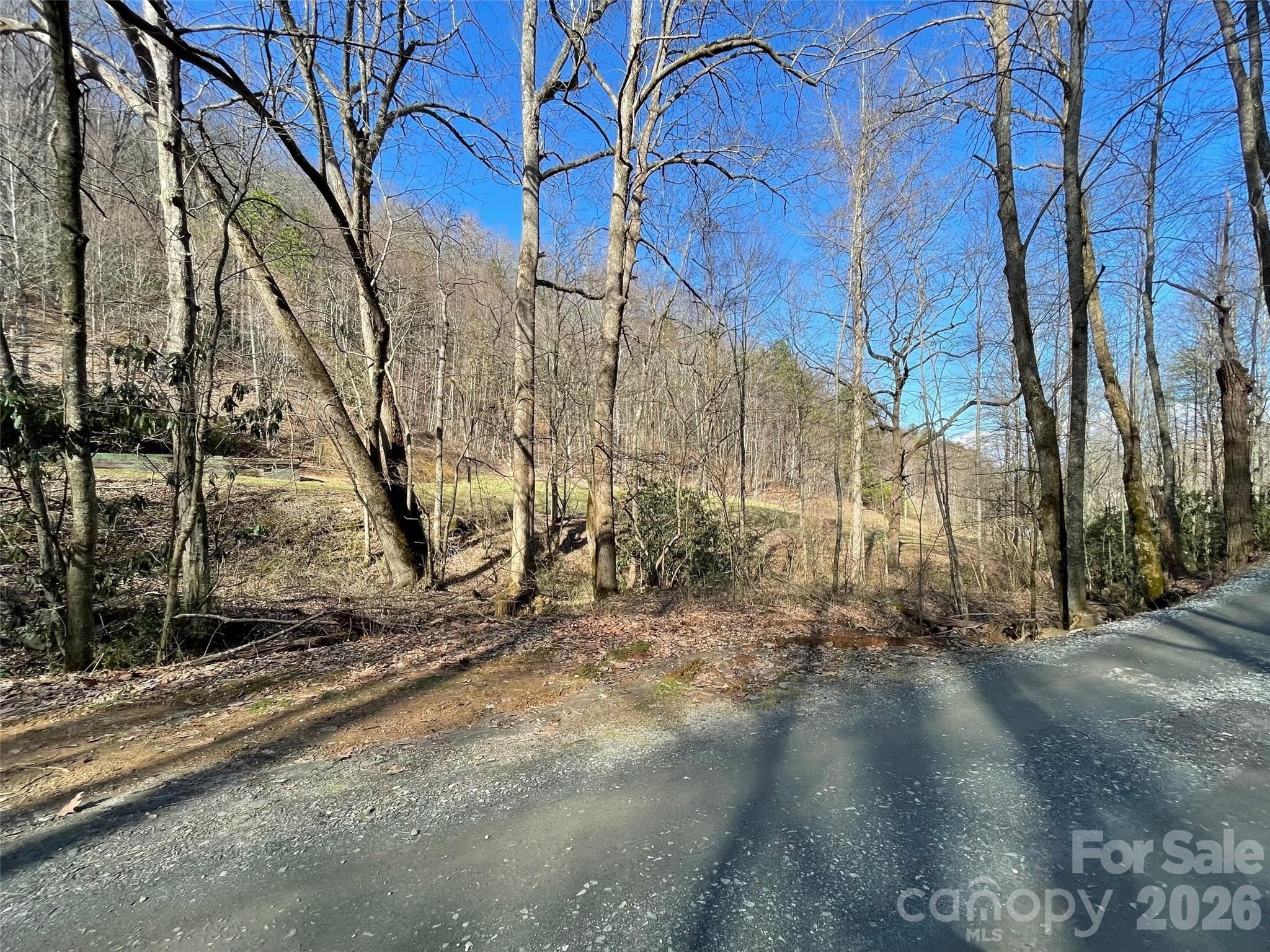 81 Peepeye Cove Road Leicester, NC 28748 - Photo 13 of 14