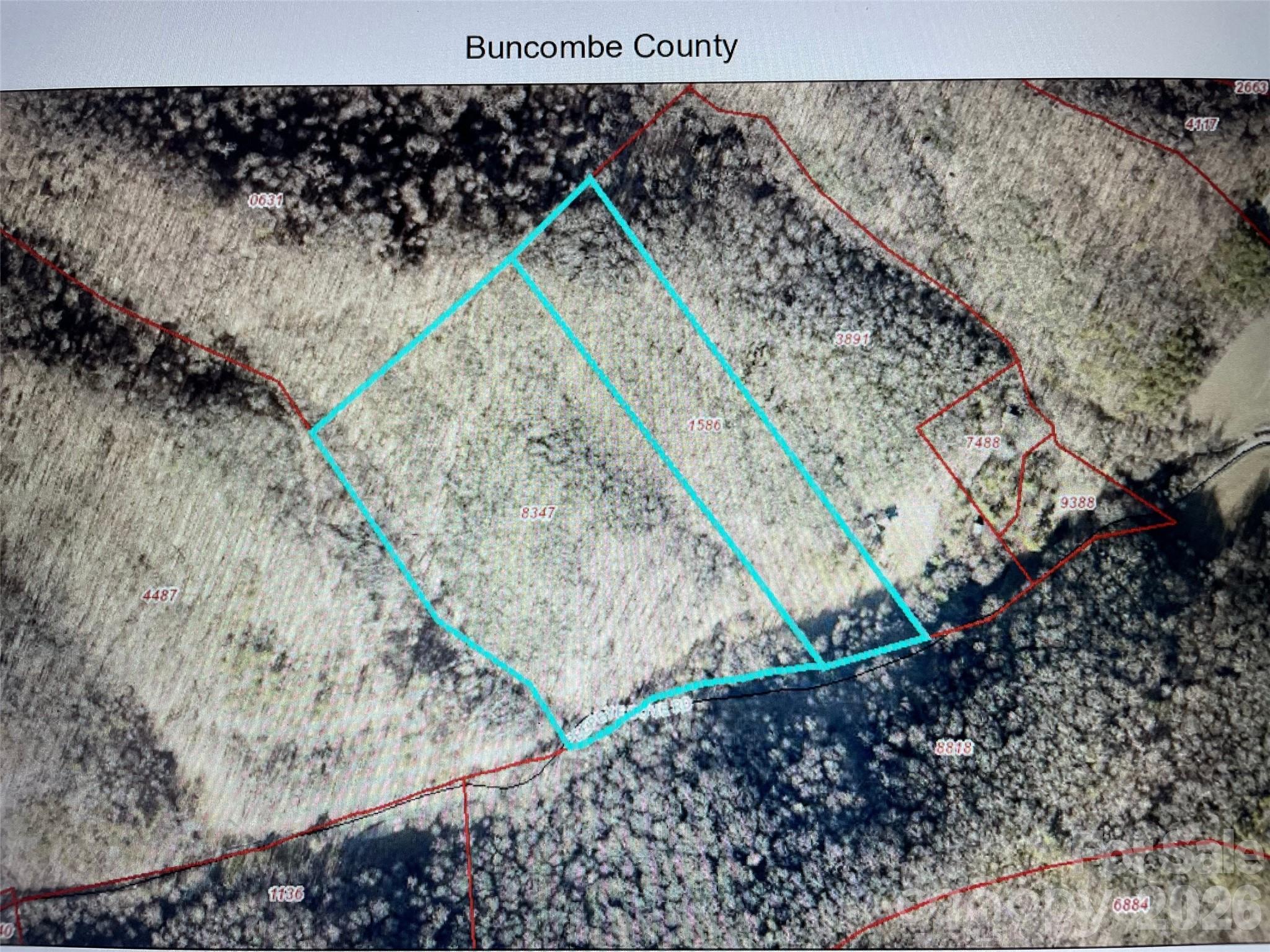 81 Peepeye Cove Road Leicester, NC 28748 - Photo 14 of 14