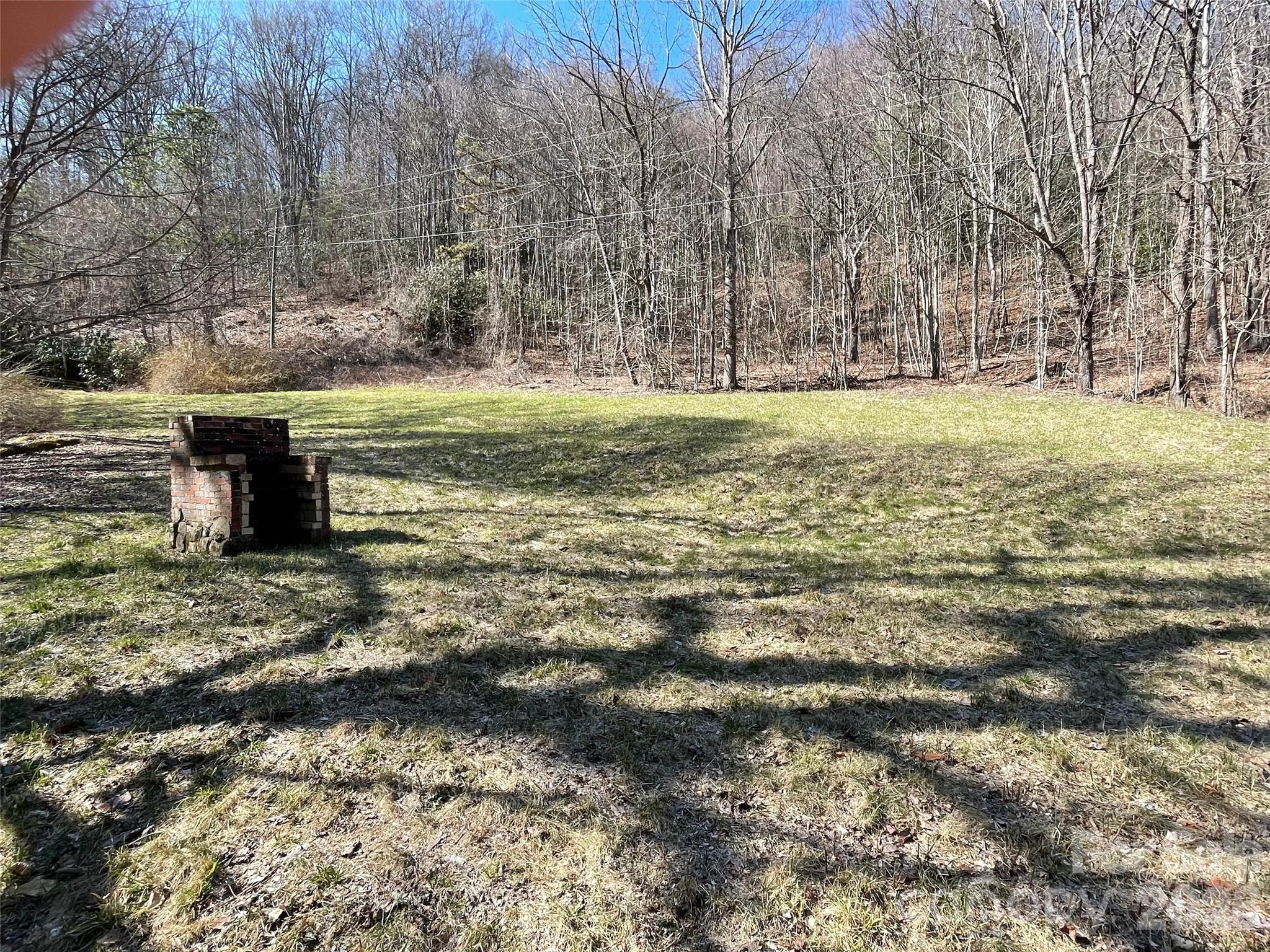 81 Peepeye Cove Road Leicester, NC 28748 - Photo 3 of 14