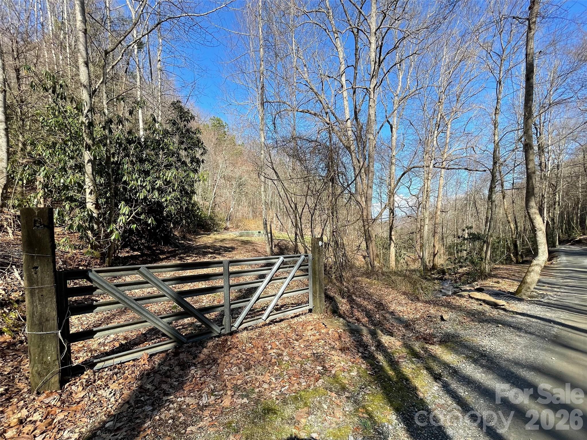 81 Peepeye Cove Road Leicester, NC 28748 - Photo 4 of 14