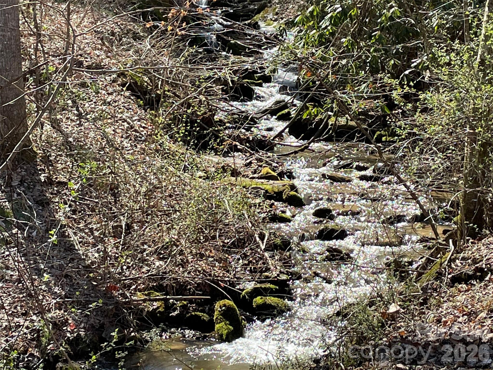 81 Peepeye Cove Road Leicester, NC 28748 - Photo 5 of 14