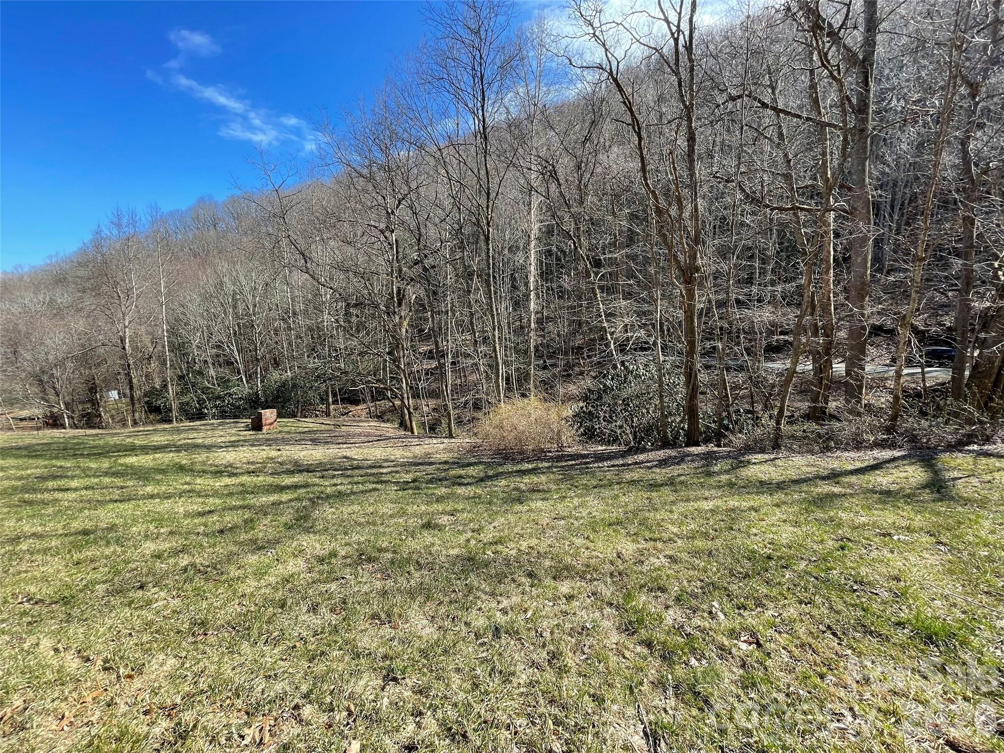 81 Peepeye Cove Road Leicester, NC 28748 - Photo 6 of 14