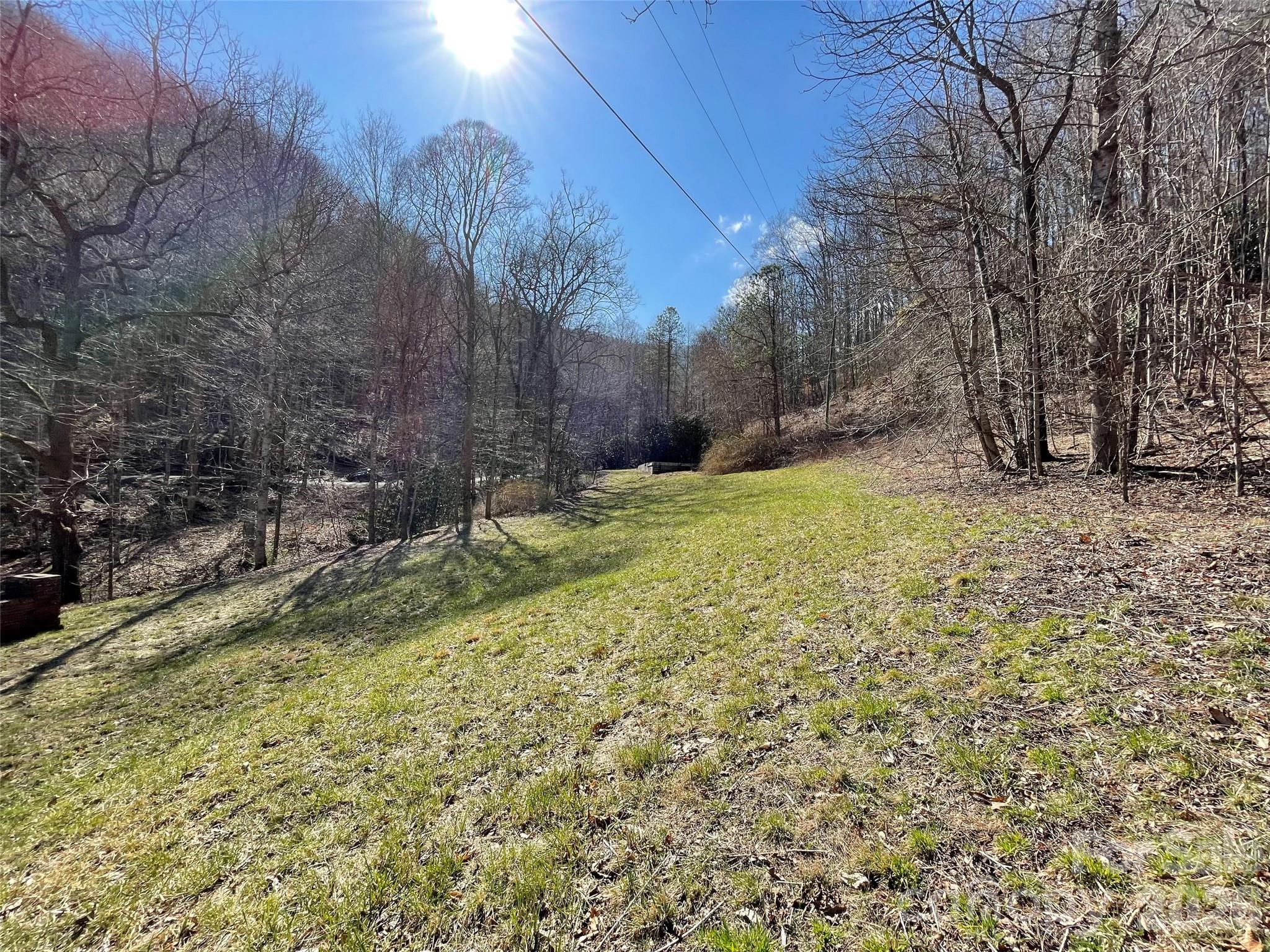 81 Peepeye Cove Road Leicester, NC 28748 - Photo 7 of 14