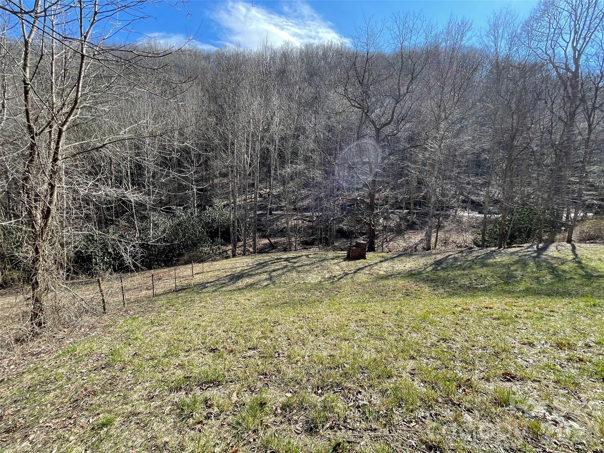 81 Peepeye Cove Road Leicester, NC 28748 - Photo 8 of 14