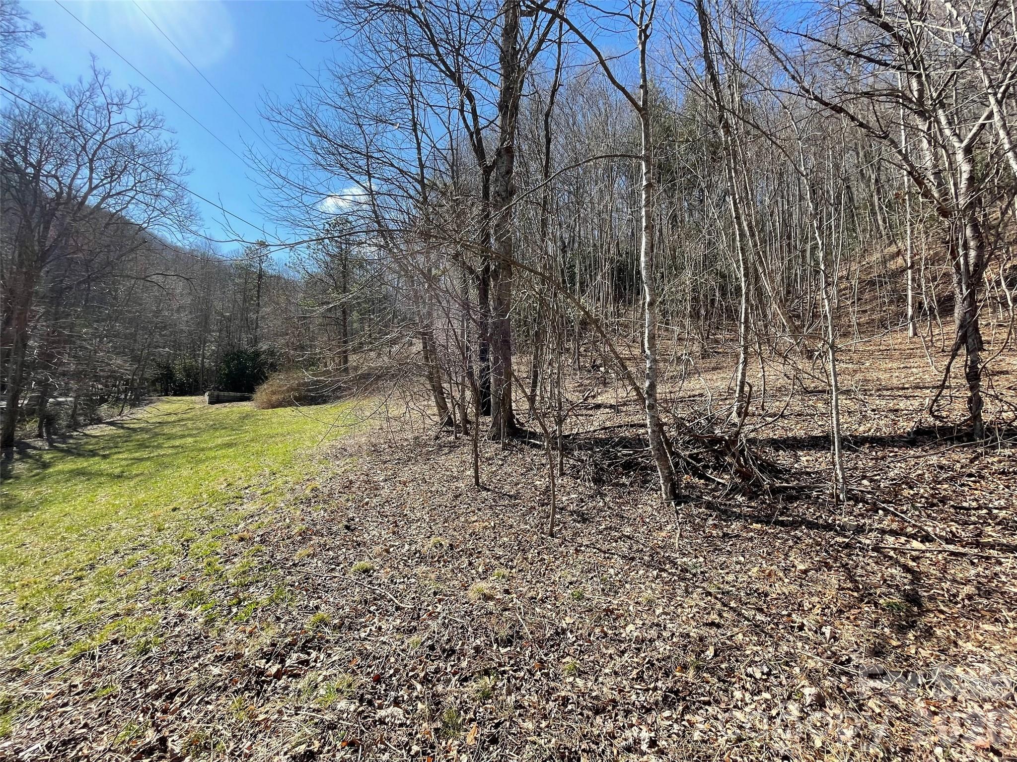 81 Peepeye Cove Road Leicester, NC 28748 - Photo 9 of 14