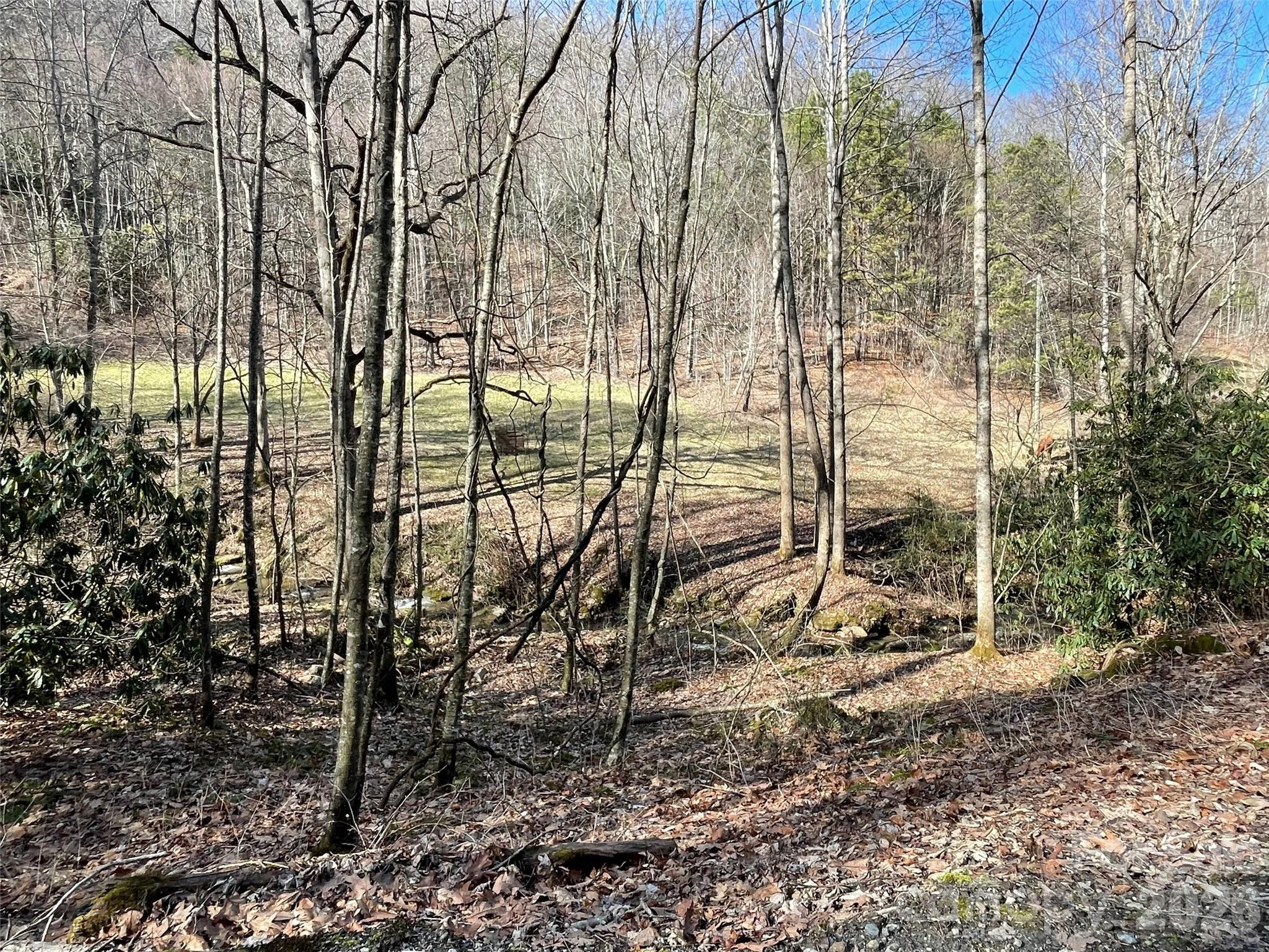 81 Peepeye Cove Road Leicester, NC 28748 - Photo 10 of 14