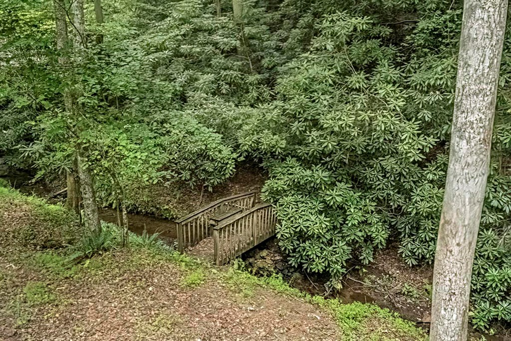 278 Tarpley Branch Road Morganton, GA 30560 - Photo 18 of 32 Gallery Image 18