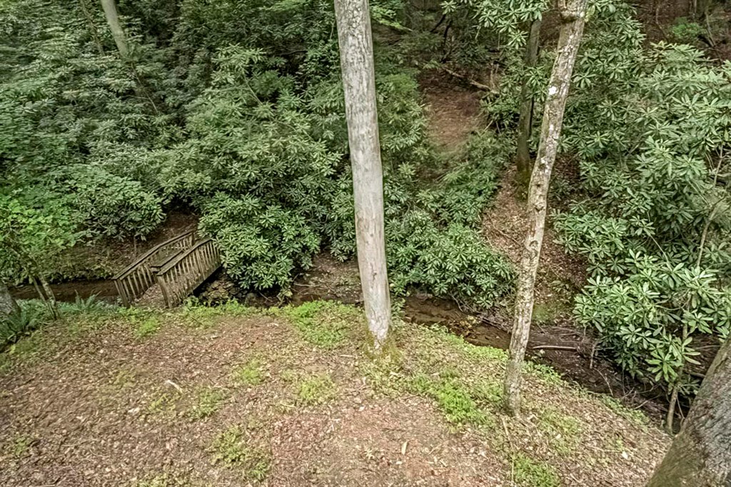 278 Tarpley Branch Road Morganton, GA 30560 - Photo 19 of 32 Gallery Image 19