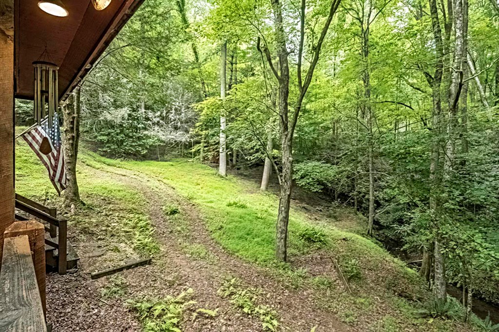 278 Tarpley Branch Road Morganton, GA 30560 - Photo 20 of 32 Gallery Image 20