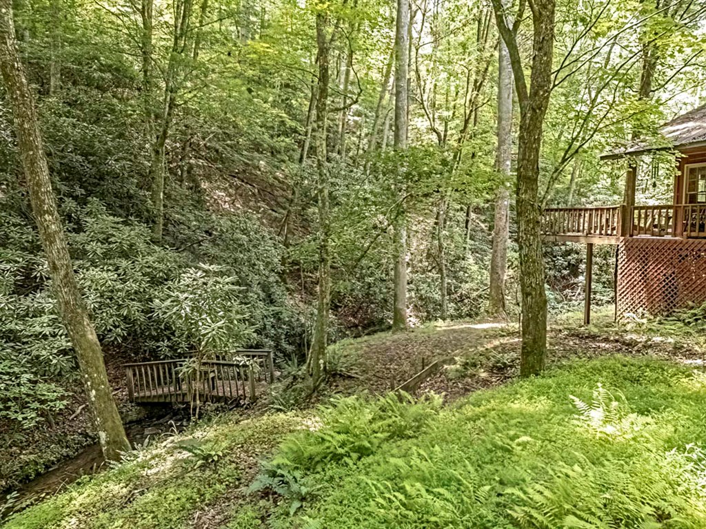 278 Tarpley Branch Road Morganton, GA 30560 - Photo 30 of 32 Gallery Image 30