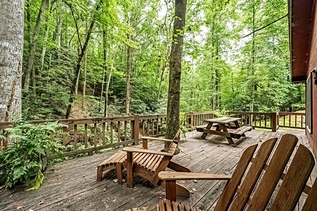 278 Tarpley Branch Road Morganton, GA 30560 - Photo 4 of 32 Gallery Image 4