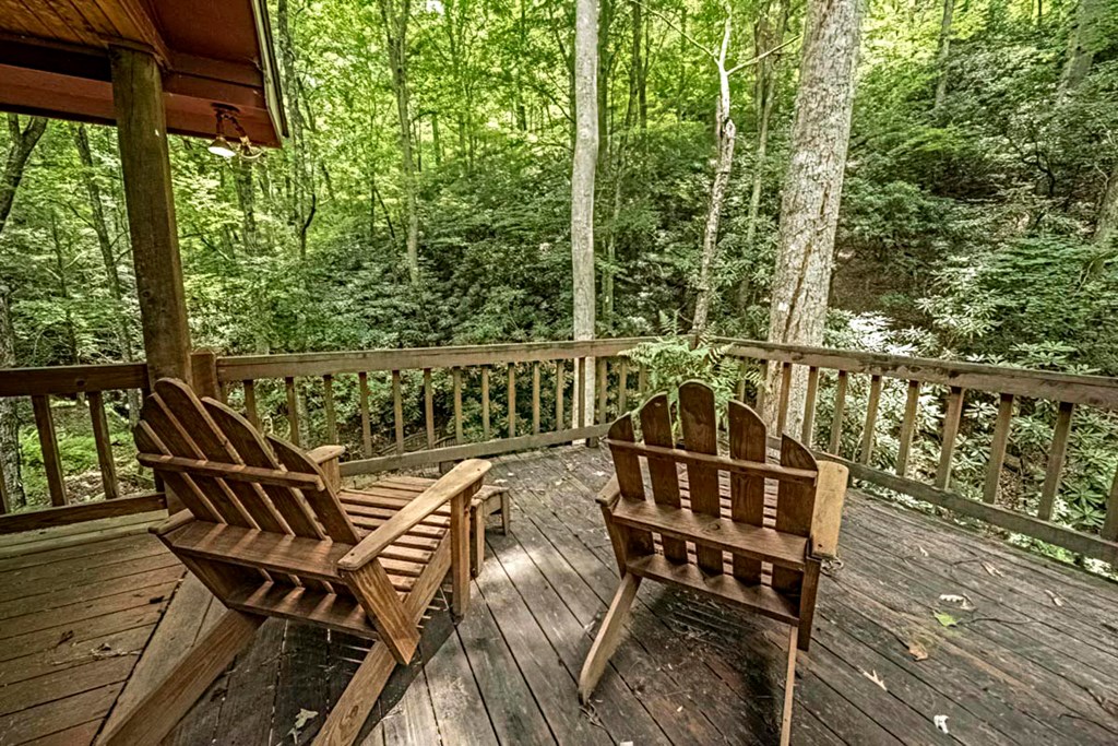 278 Tarpley Branch Road Morganton, GA 30560 - Photo 5 of 32 Gallery Image 5