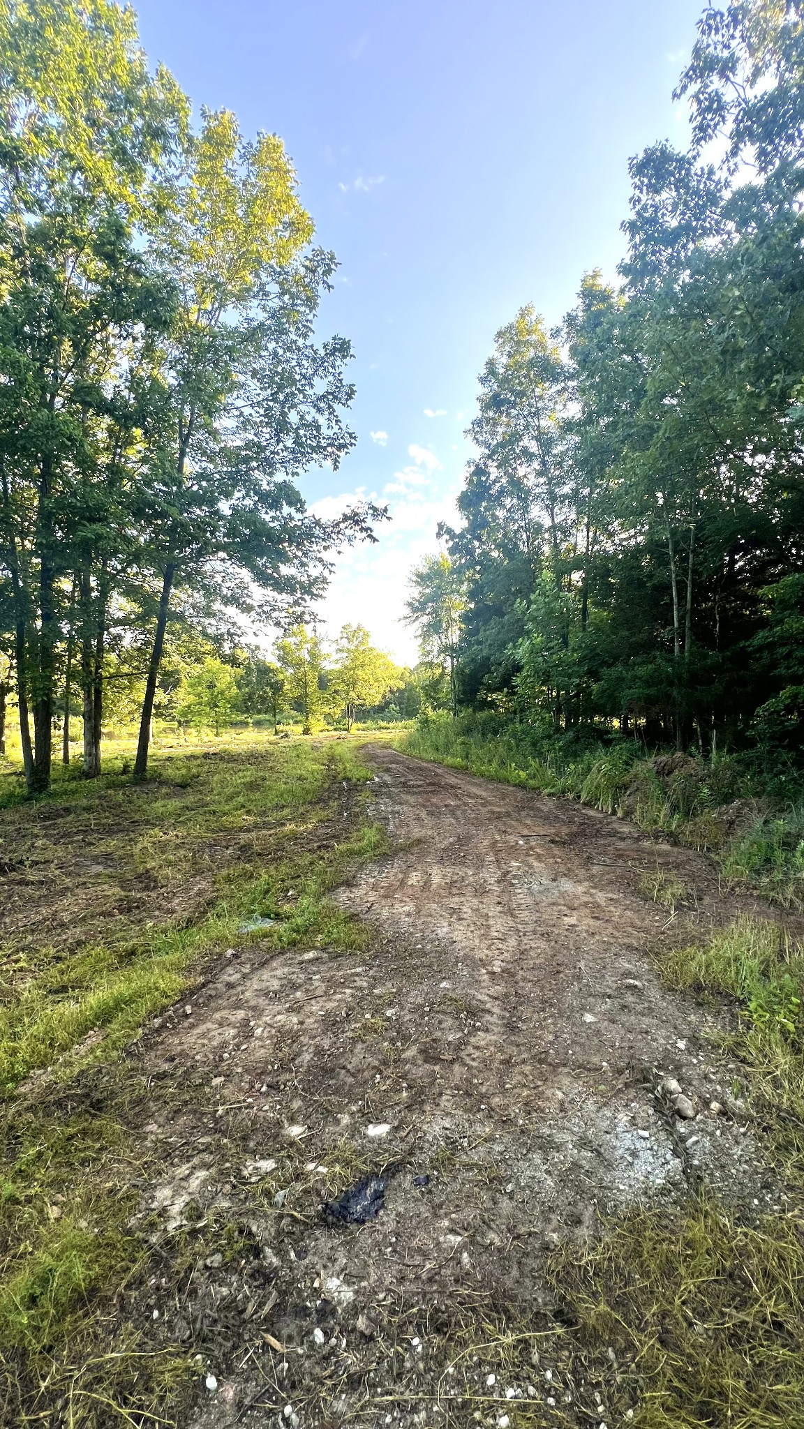 2371 Sylvia Road Dickson, TN 37055 - Photo 18 of 24
