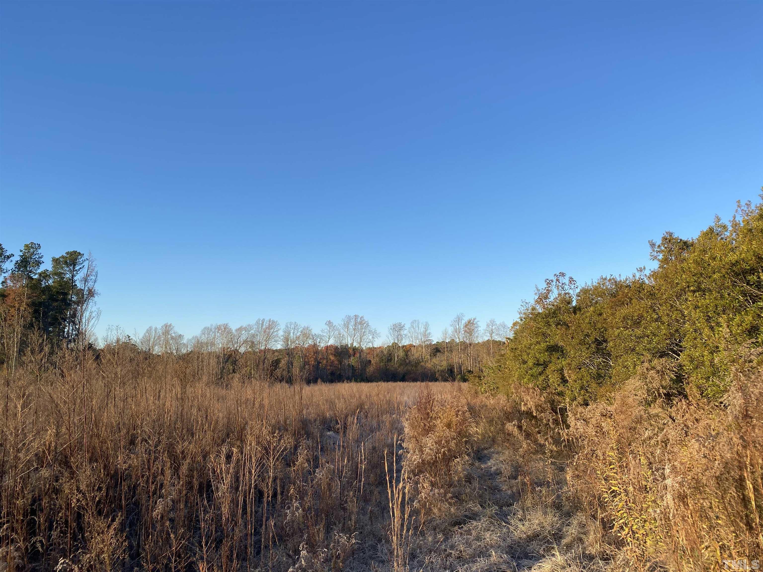 2575 Pilot-Riley Road Zebulon, NC 27597 - Photo 1 of 3 Gallery Image 1