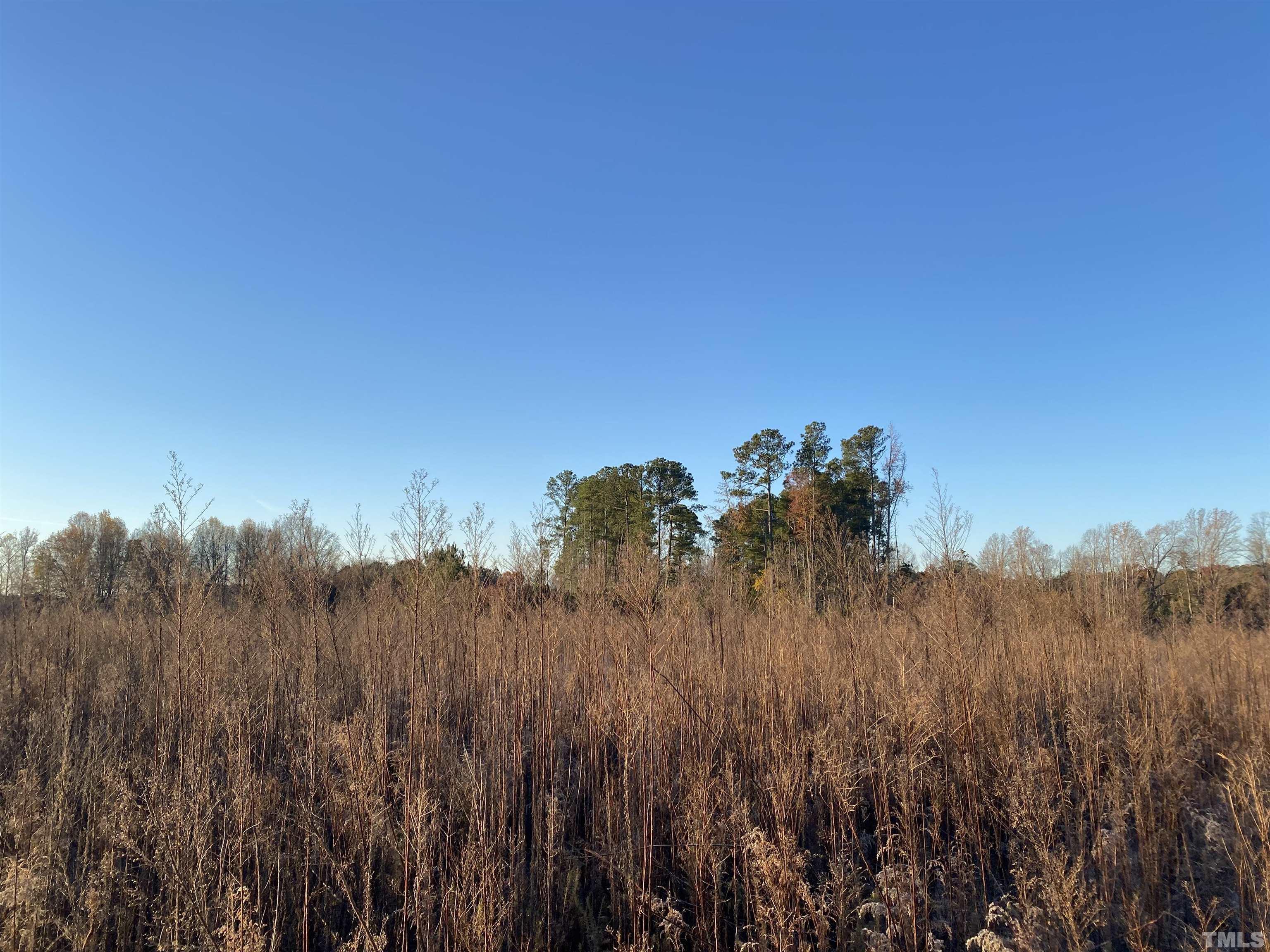 2575 Pilot-Riley Road Zebulon, NC 27597 - Photo 2 of 3 Gallery Image 2
