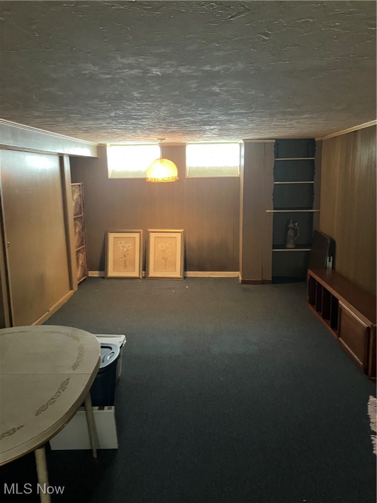 12924 Orme Road Cleveland, OH 44125 - Photo 22 of 27 Basement with carpet and a textured ceiling