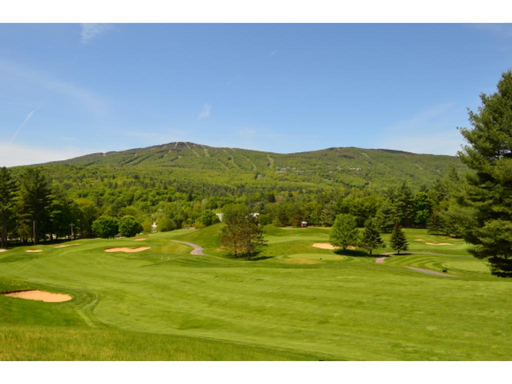 350 Mountain Road, Unit B206 Ludlow, VT 05149 - Photo 25 of 36 Gallery Image 25
