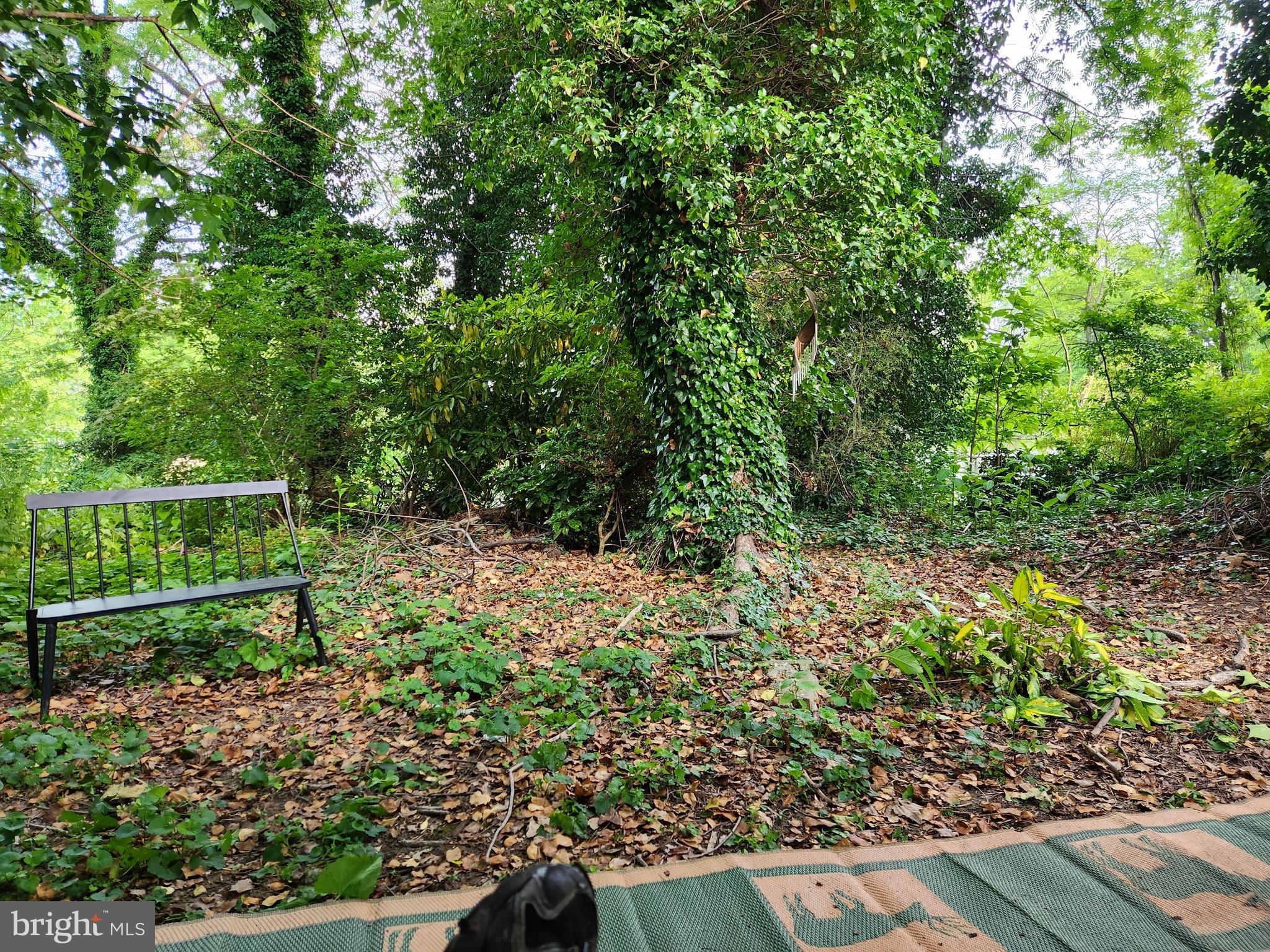 2217 Middleborough Road Essex, MD 21221 - Photo 2 of 6 a view of a garden with plants