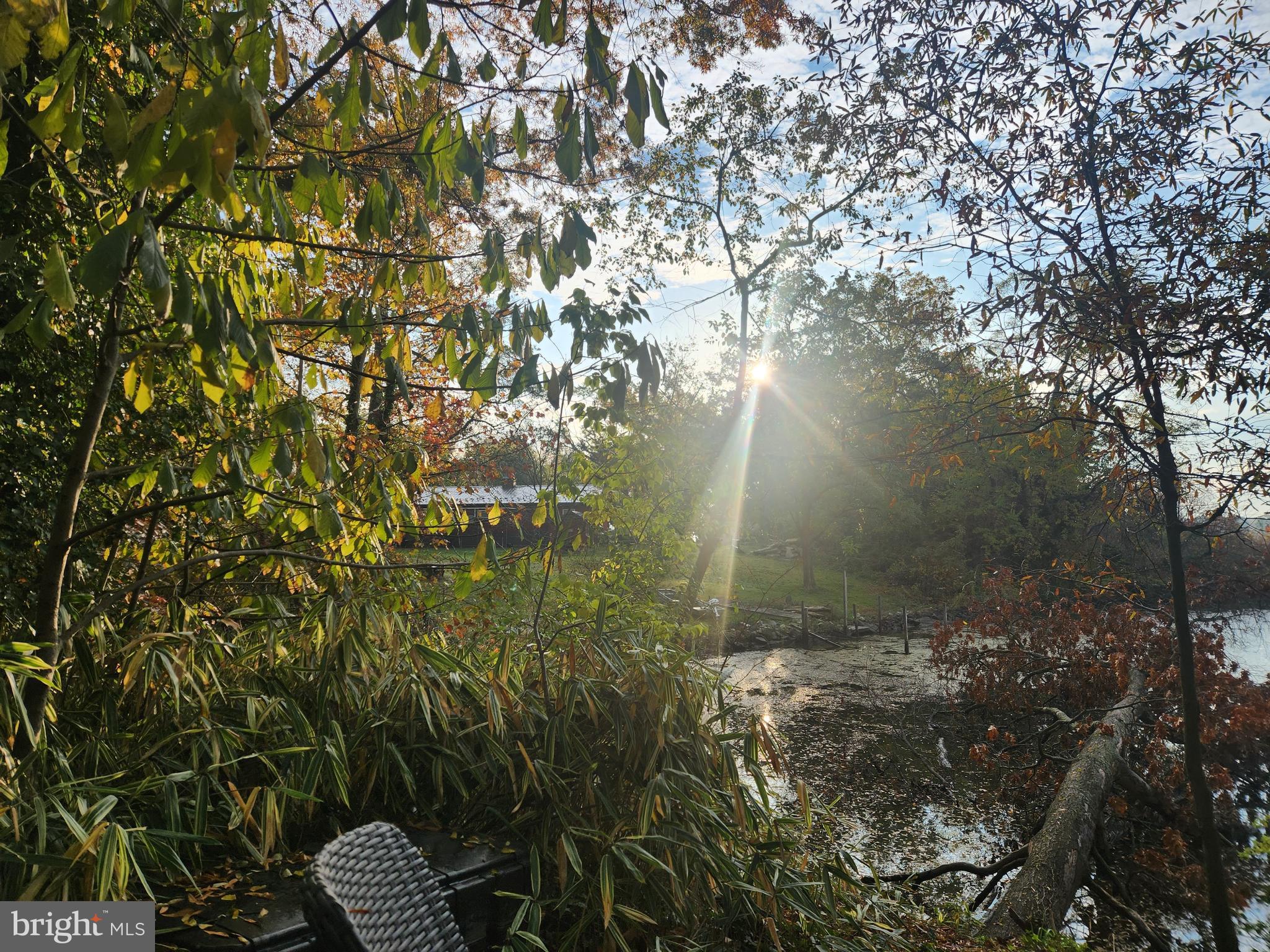 2217 Middleborough Road Essex, MD 21221 - Photo 5 of 6 a view of a yard