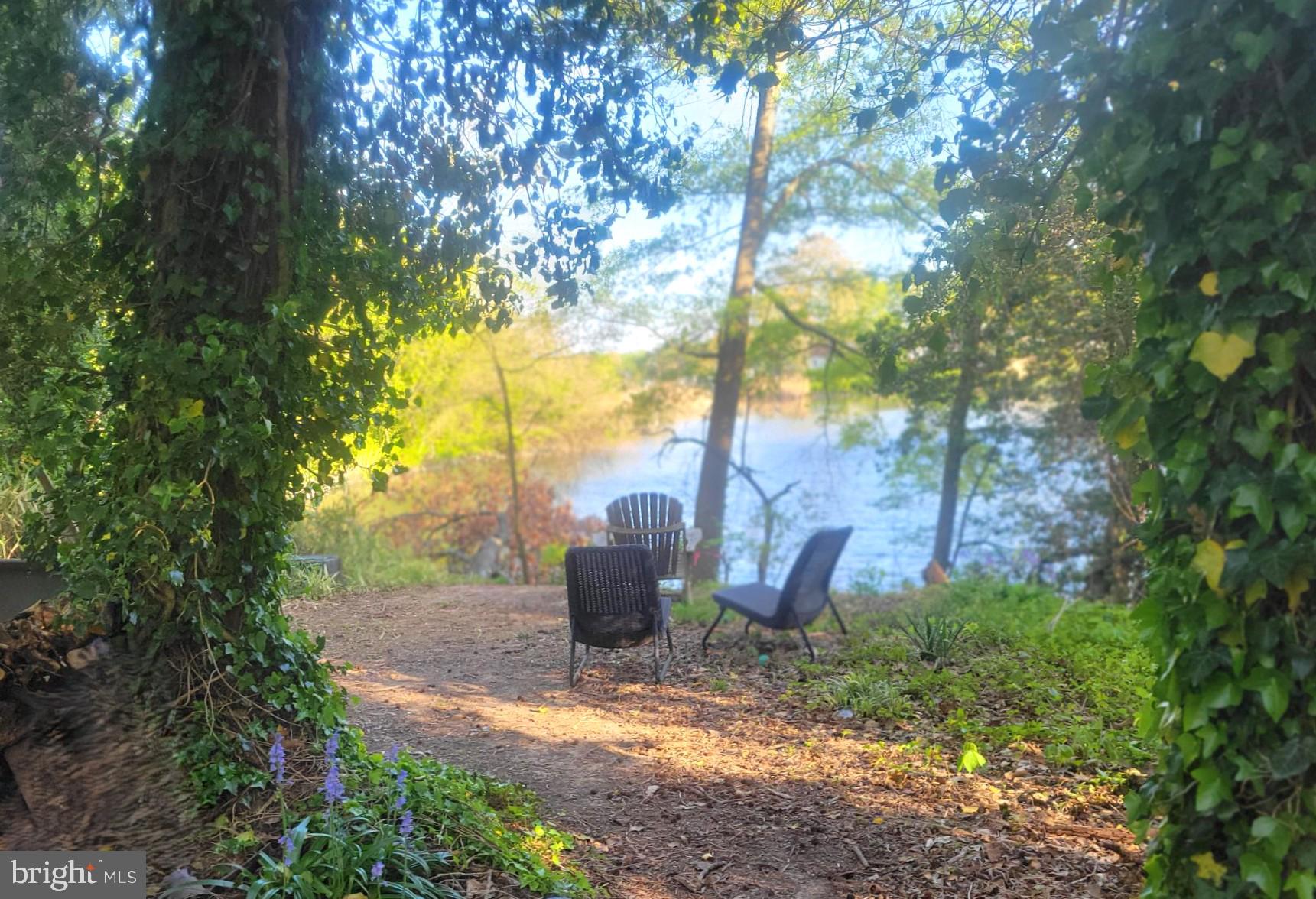 2217 Middleborough Road Essex, MD 21221 - Photo 6 of 6 a view of a yard with plants and a trees