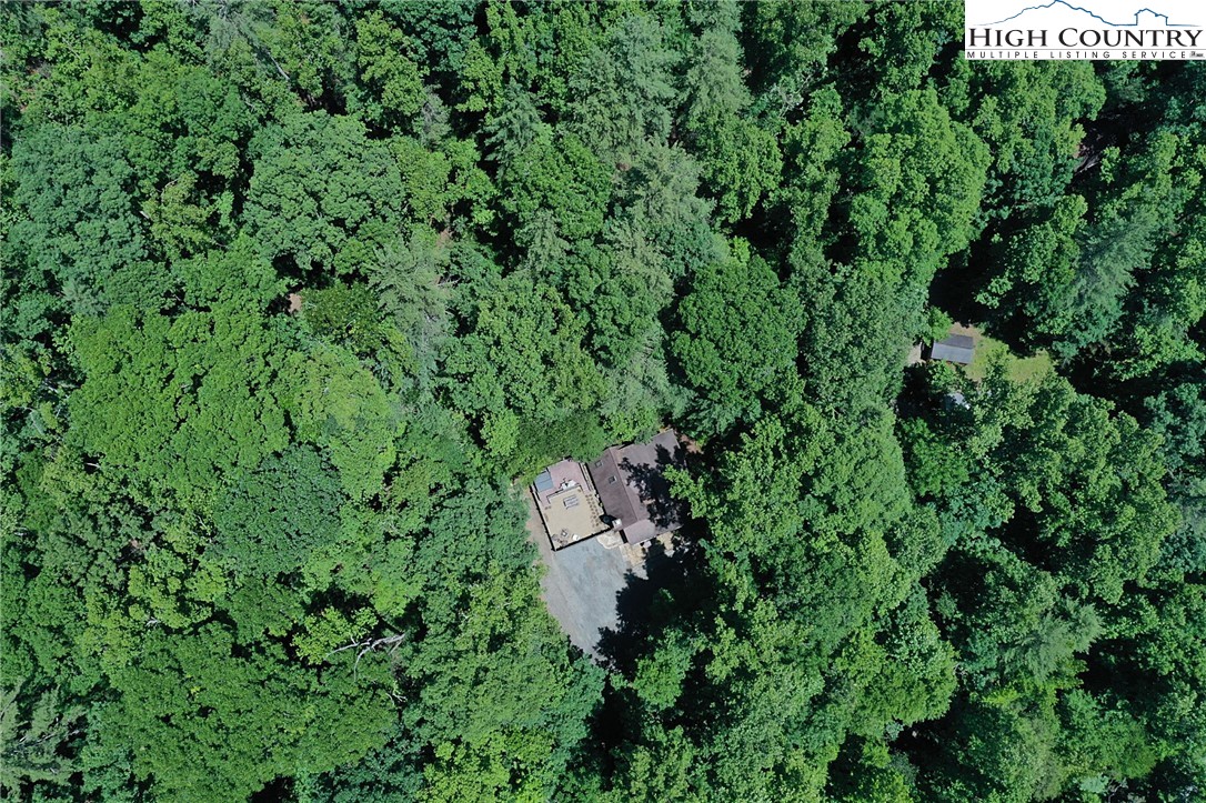 3430-3390 Rose Creek Road Morganton, NC 28655 - Photo 24 of 50 a view of a lush green forest with lots of trees