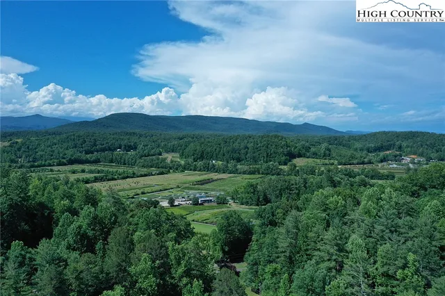 a view of a city with lush green forest