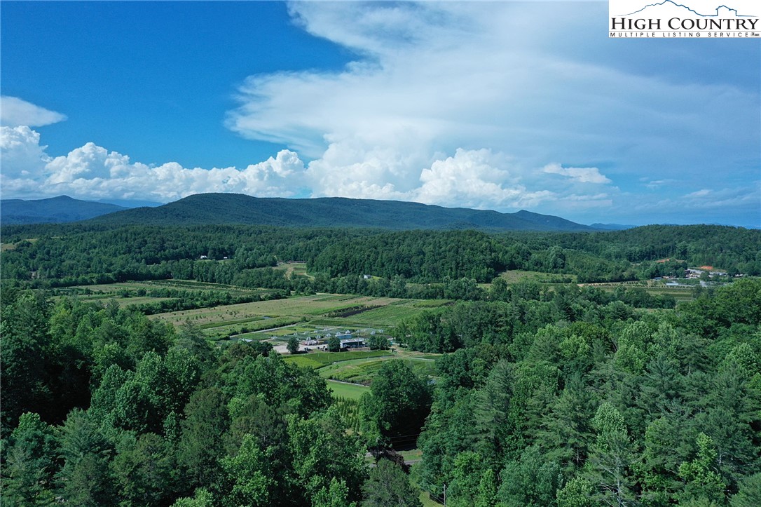 3430-3390 Rose Creek Road Morganton, NC 28655 - Photo 27 of 50 a view of a city with lush green forest
