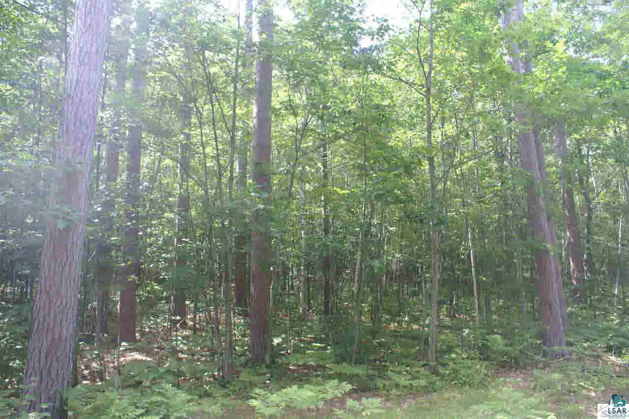 Lot 6 Spider Lake Road Iron River, WI 54847 - Photo 2 of 4 Gallery Image 2
