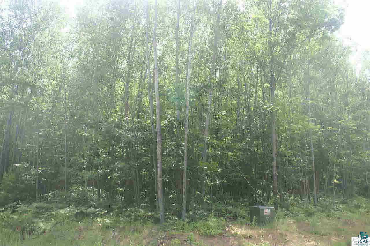 Lot 6 Spider Lake Road Iron River, WI 54847 - Photo 3 of 4 Gallery Image 3