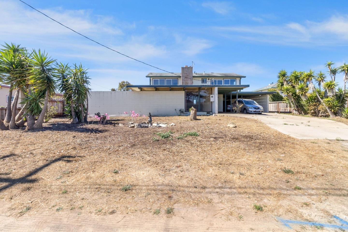 a view of a ocean view with palm trees