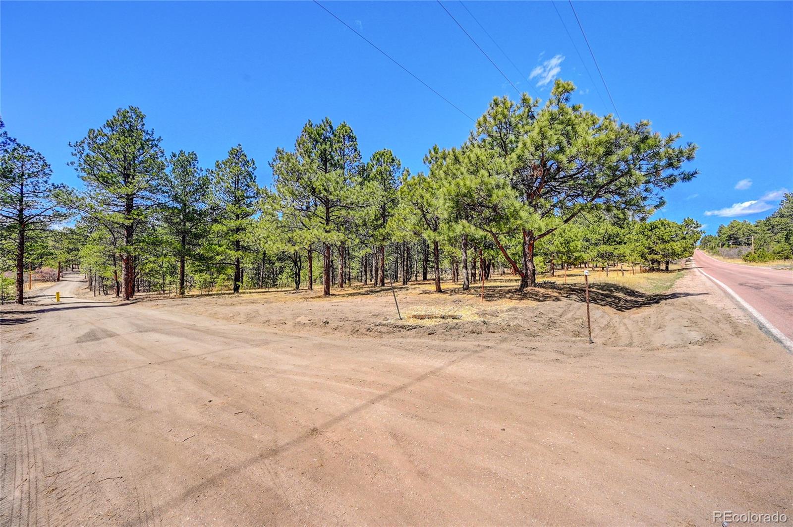 15990 Roller Coaster Road Colorado Springs, CO 80921 - Photo 1 of 22 a view of backyard space