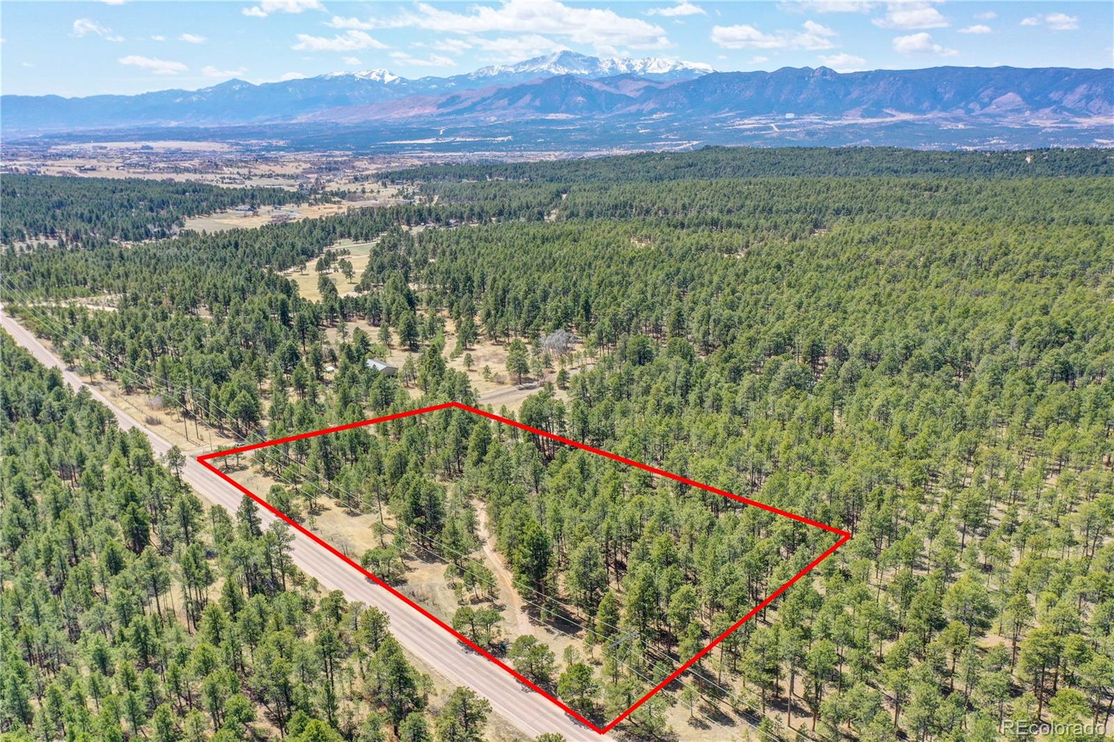 15990 Roller Coaster Road Colorado Springs, CO 80921 - Photo 17 of 22 a view of a lush green forest with a lake