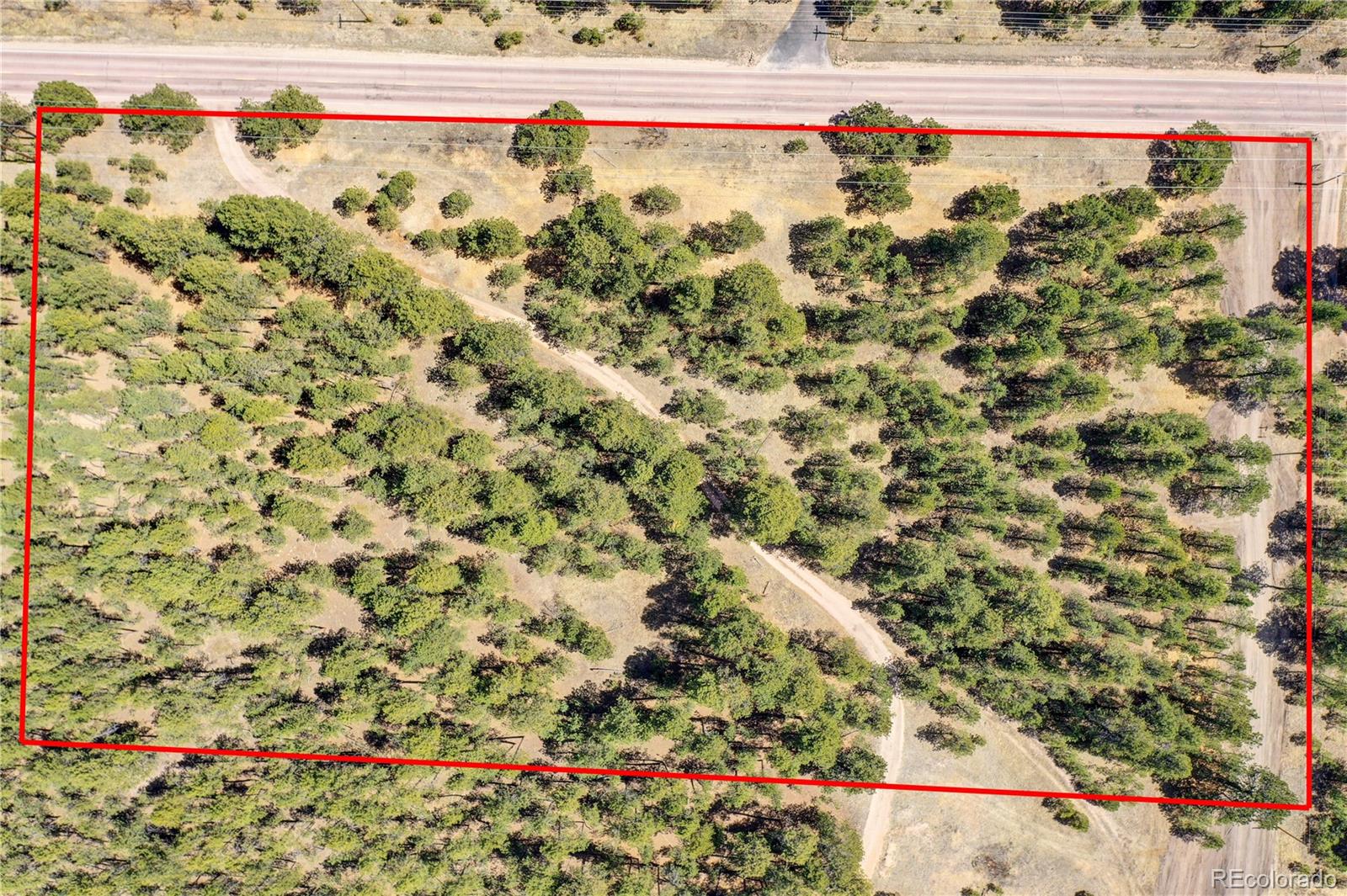 15990 Roller Coaster Road Colorado Springs, CO 80921 - Photo 21 of 22