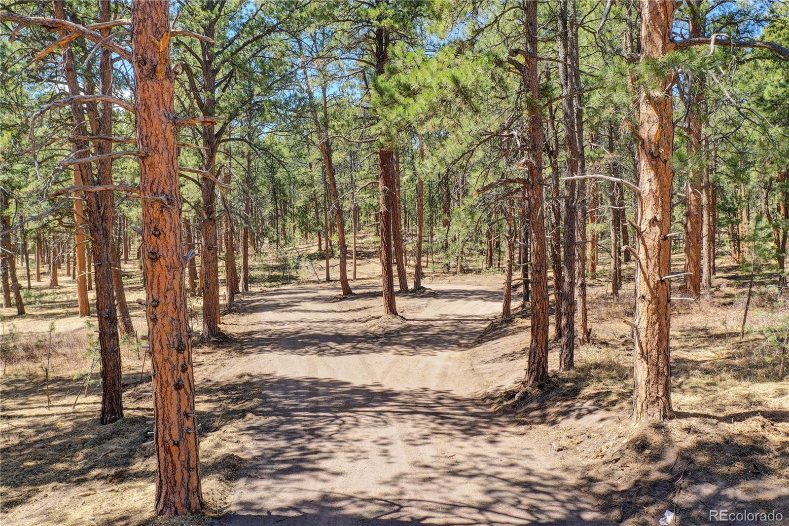 15990 Roller Coaster Road Colorado Springs, CO 80921 - Photo 22 of 22 a view of yard