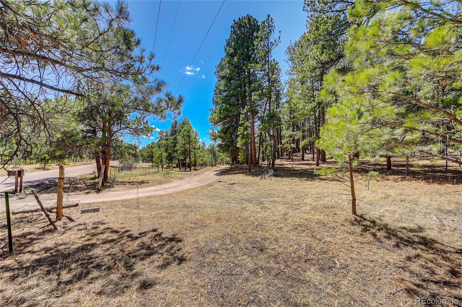 15990 Roller Coaster Road Colorado Springs, CO 80921 - Photo 4 of 22 a view of road with trees