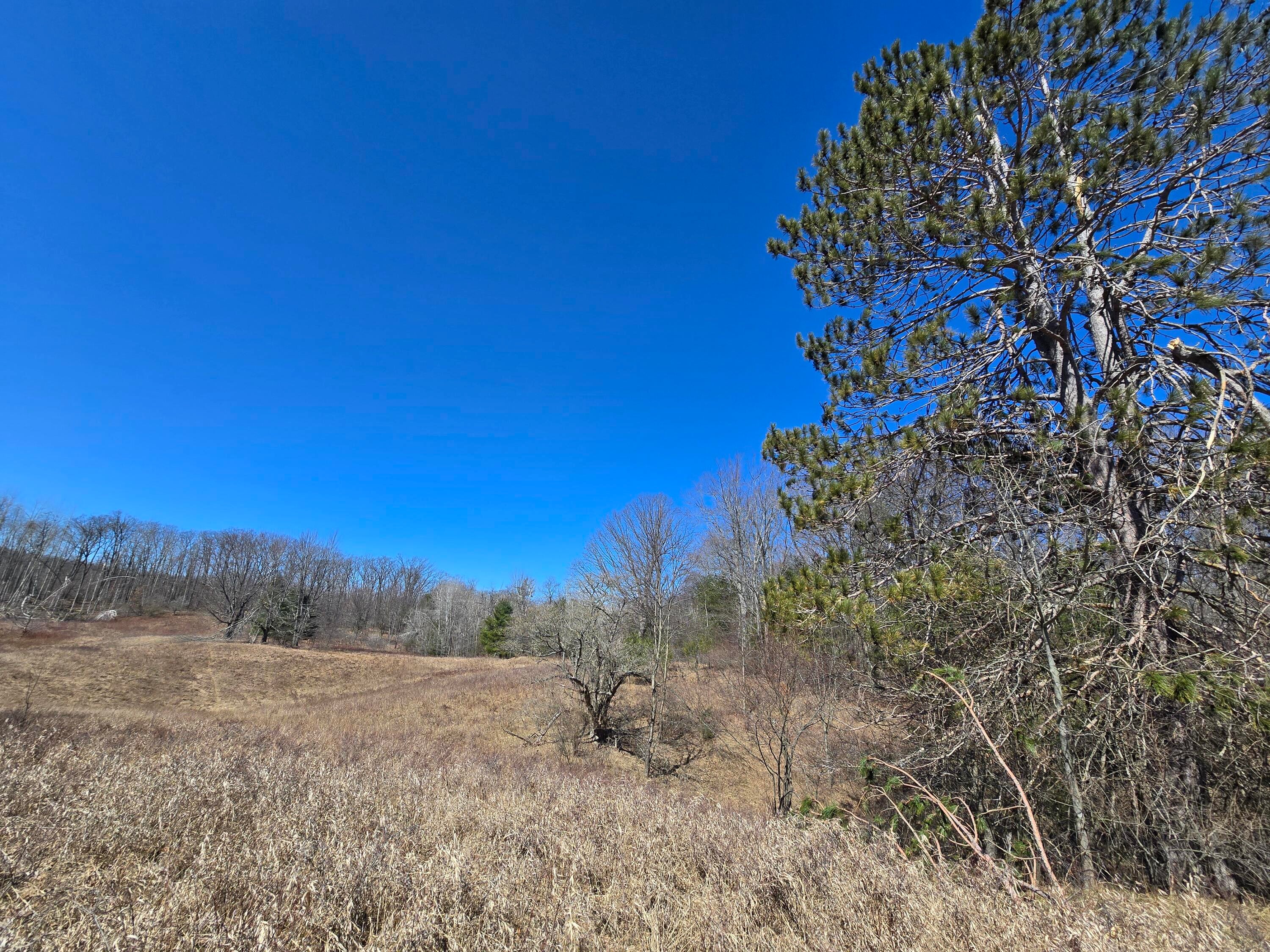 80-acre Ross Road Barton City, MI 48705 - Photo 36 of 47 Gallery Image 36