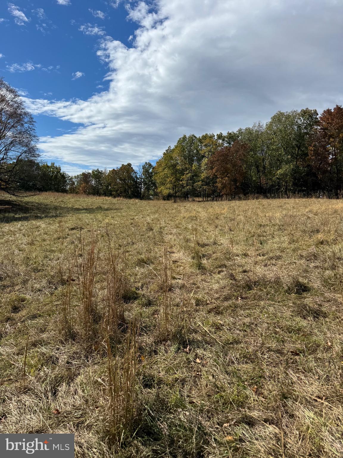 781 Dunmore Road Petersburg, WV 26847 - Photo 29 of 35