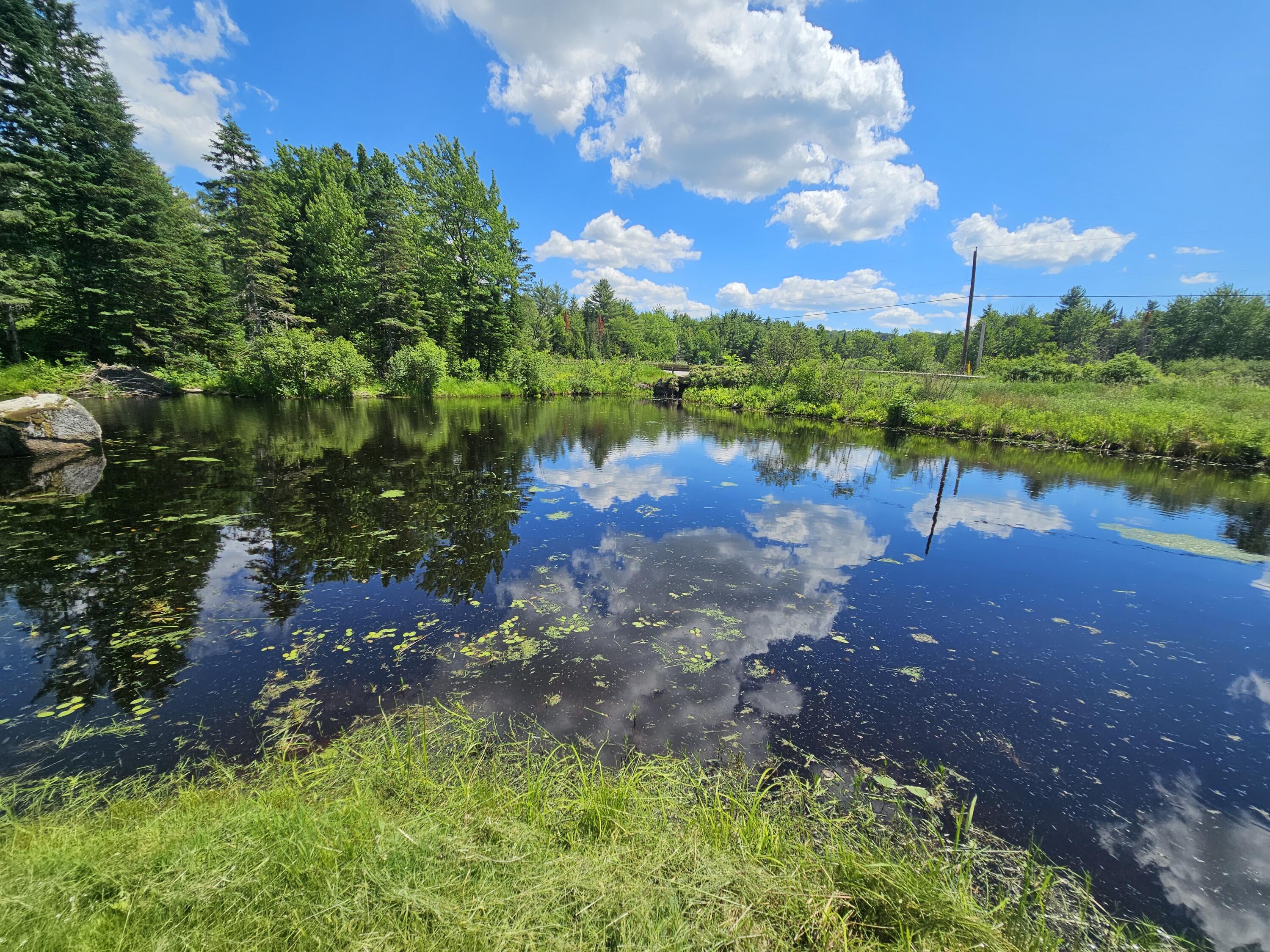 293 Lower Detroit Road Plymouth, ME 04969 - Photo 7 of 19