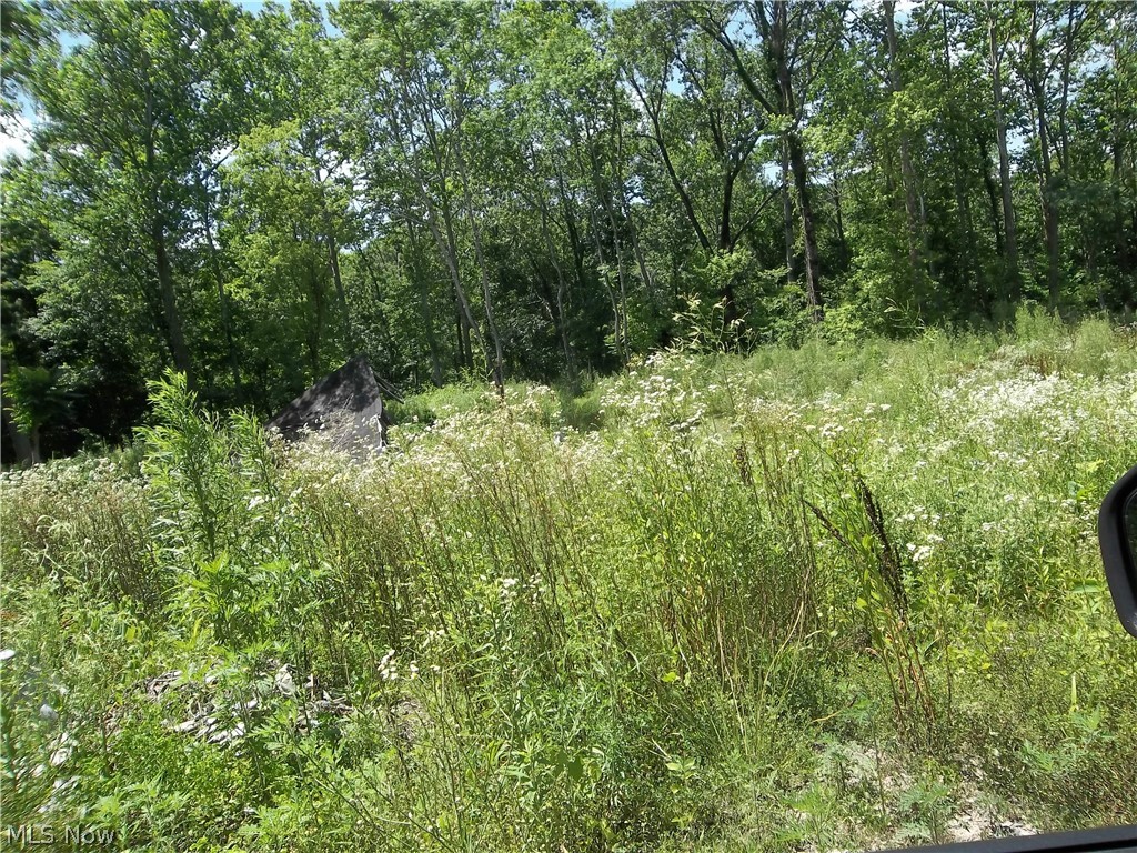 7475 Payne Road Roseville, OH 43777 - Photo 1 of 1 Gallery Image 1