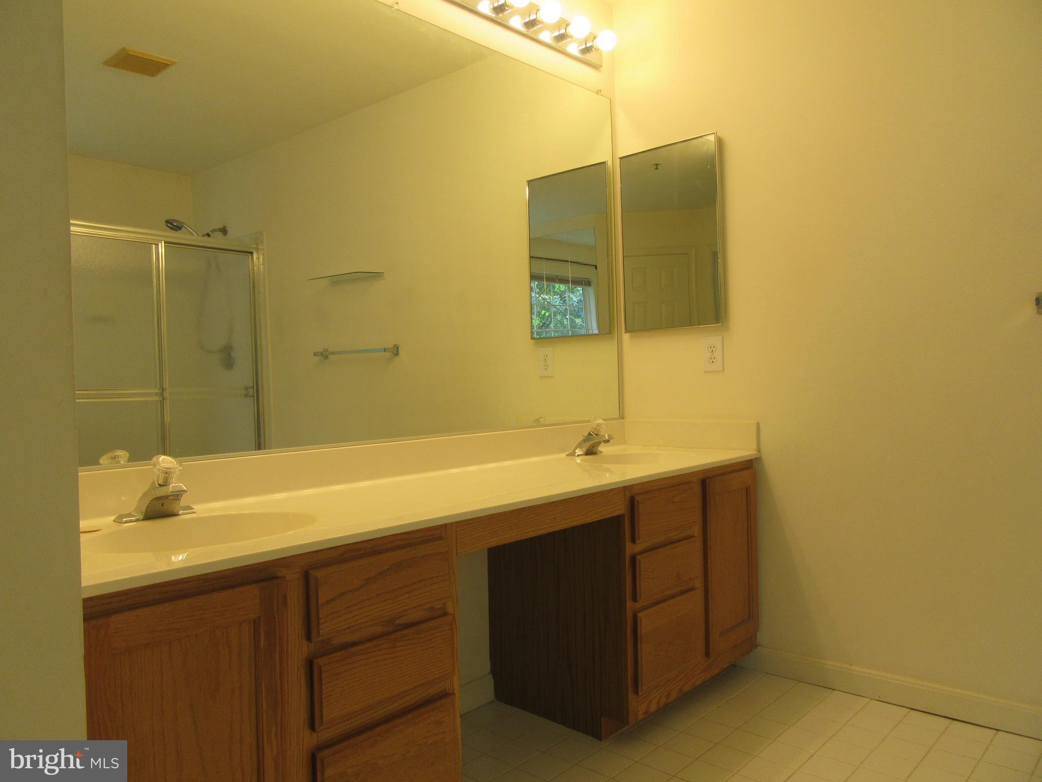 3108 Applegate Terrace Bowie, MD 20716 - Photo 14 of 27 Bath (Master)