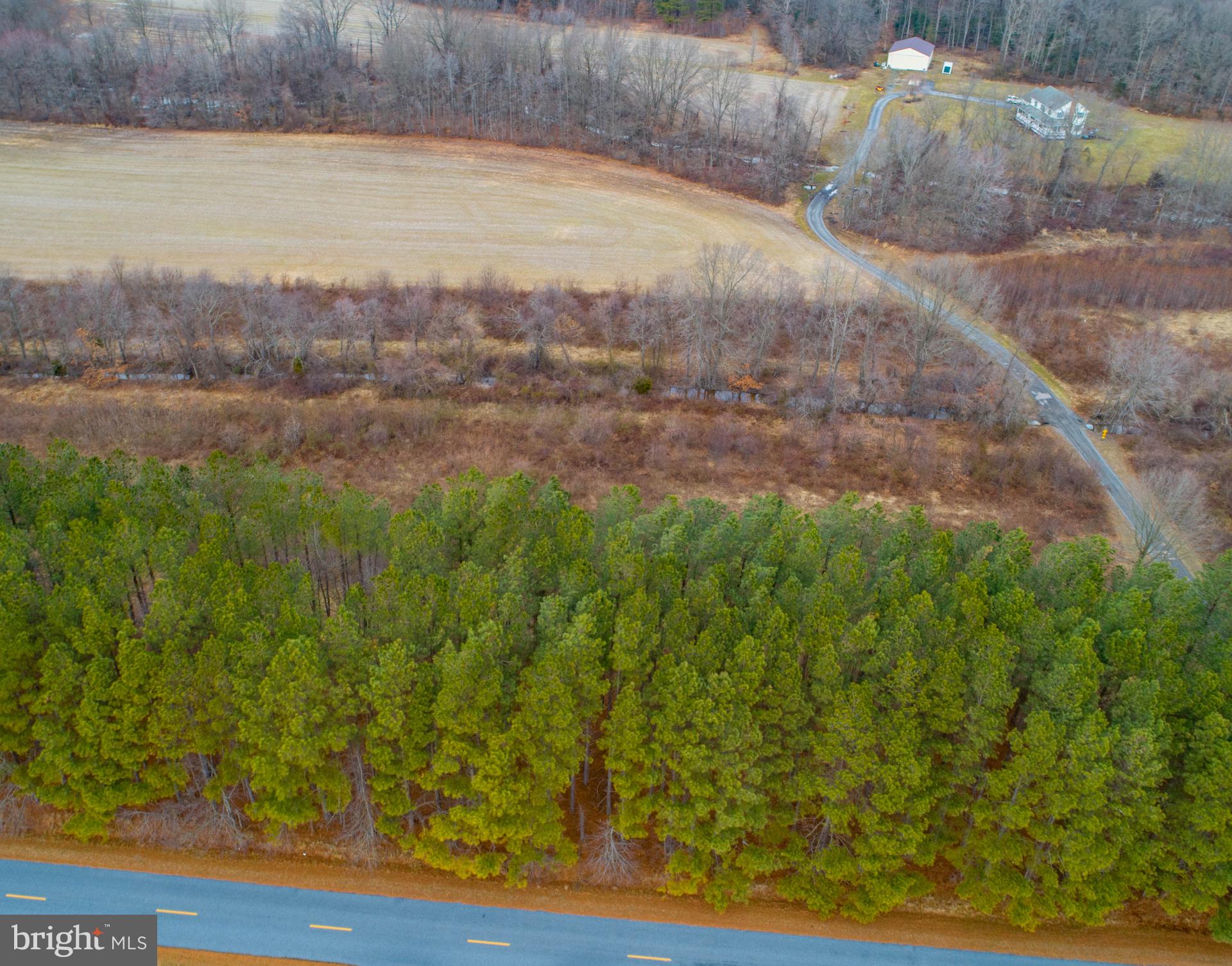 0 Devers Branch Road Centreville, MD 21617 - Photo 2 of 7 Road view of property