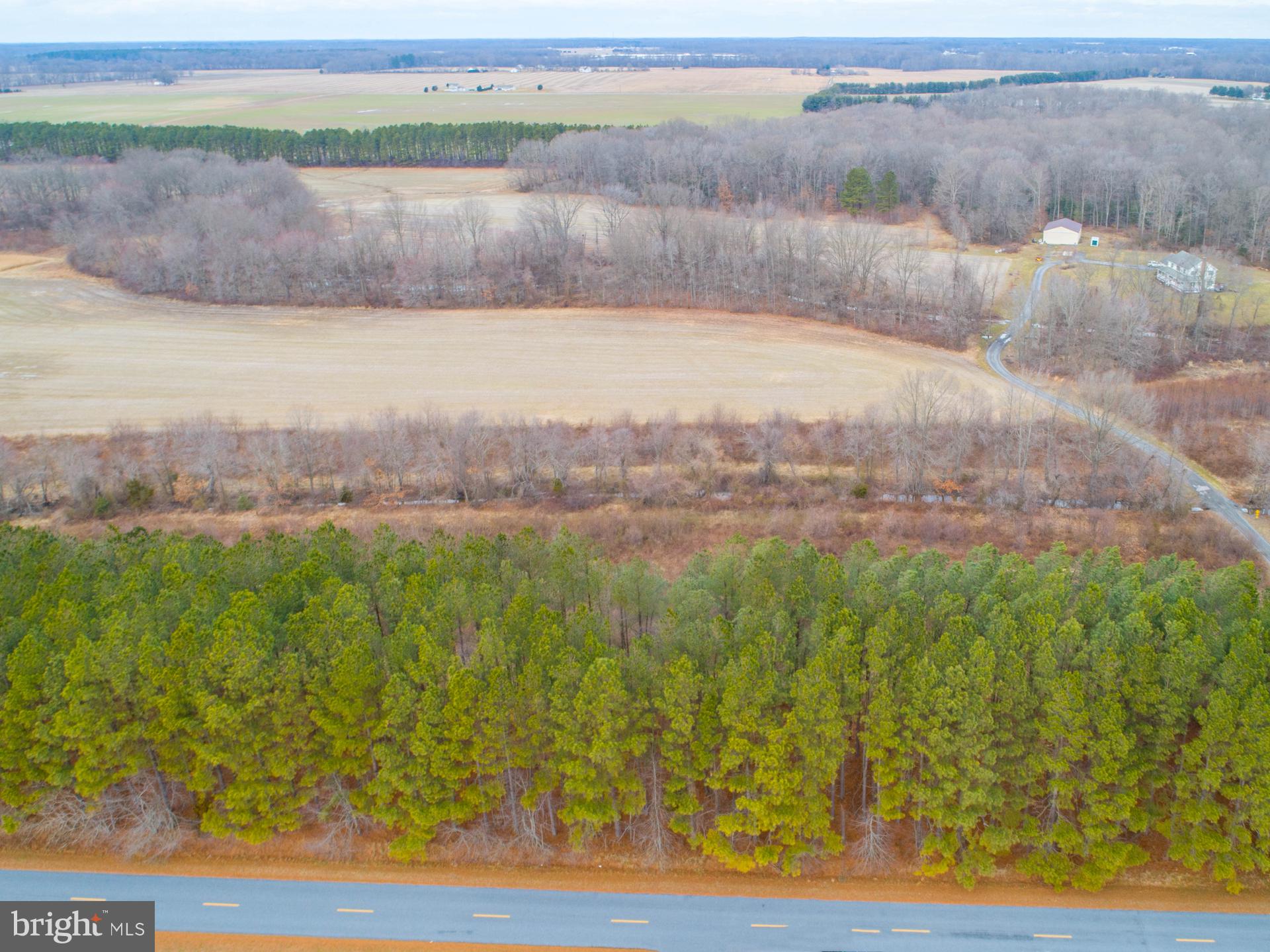0 Devers Branch Road Centreville, MD 21617 - Photo 3 of 7 Road view of property