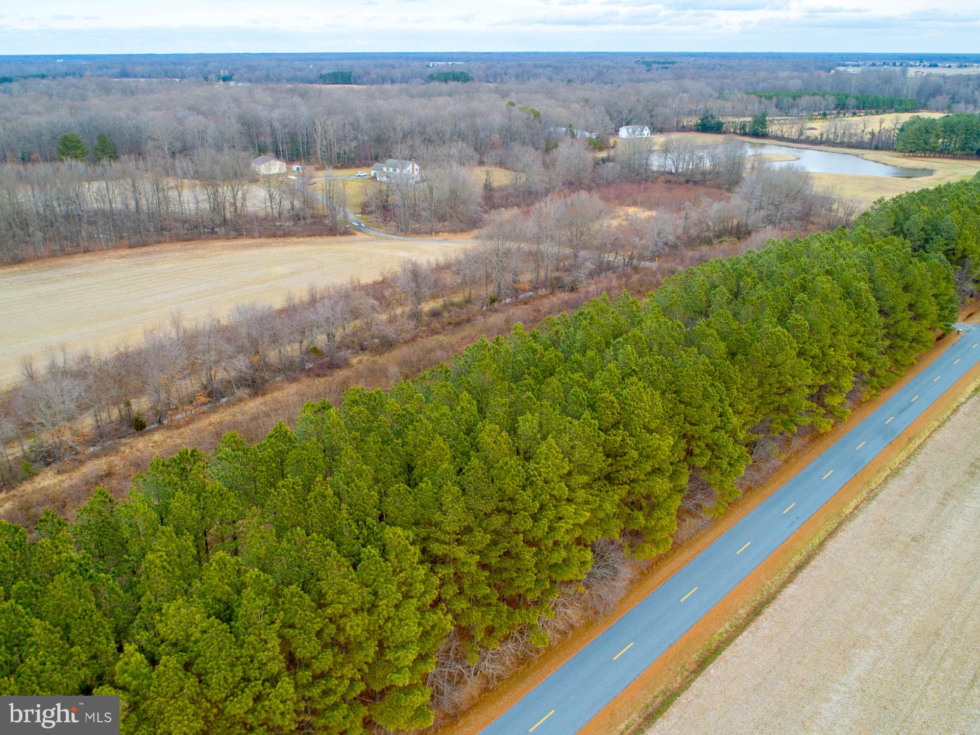 0 Devers Branch Road Centreville, MD 21617 - Photo 4 of 7 View
