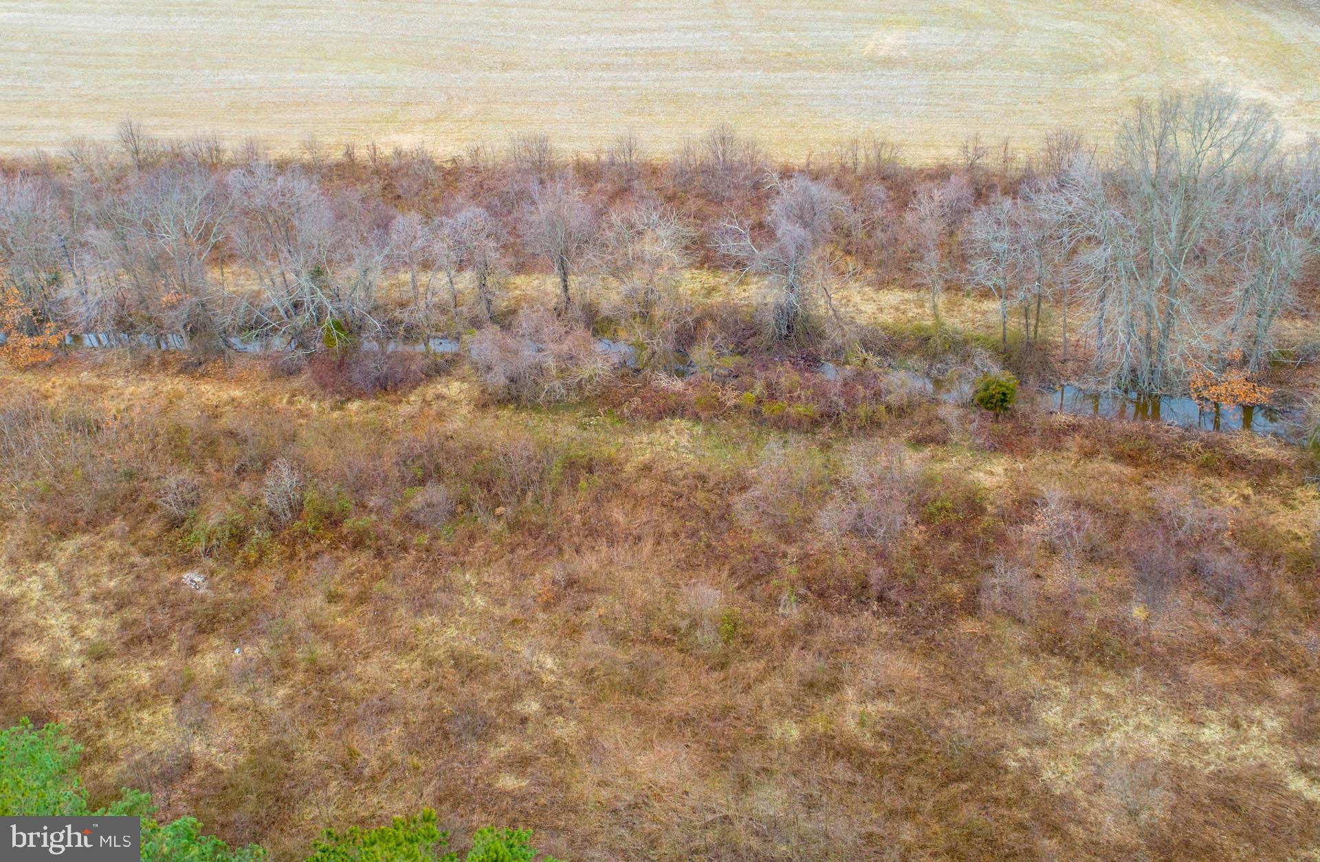 0 Devers Branch Road Centreville, MD 21617 - Photo 5 of 7 View