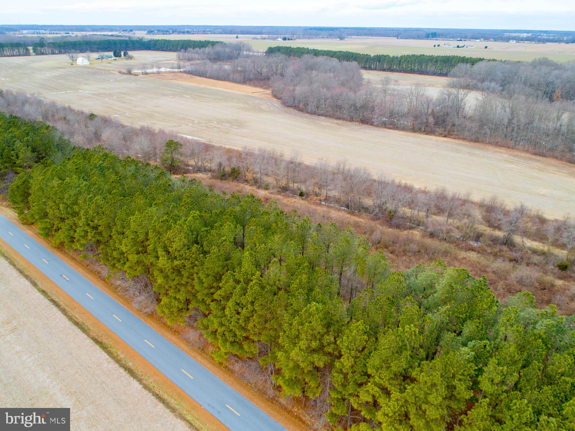 0 Devers Branch Road Centreville, MD 21617 - Photo 7 of 7 View