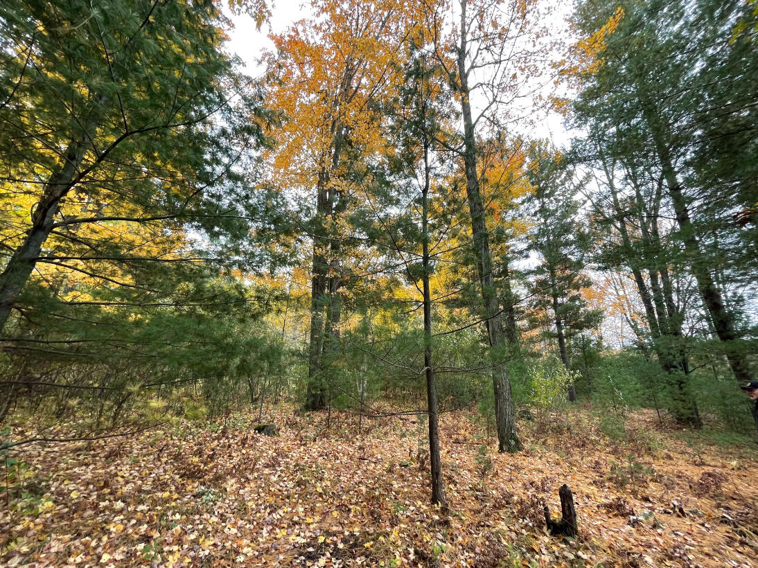 10775 West Remus Road Remus, MI 49340 - Photo 29 of 70 30