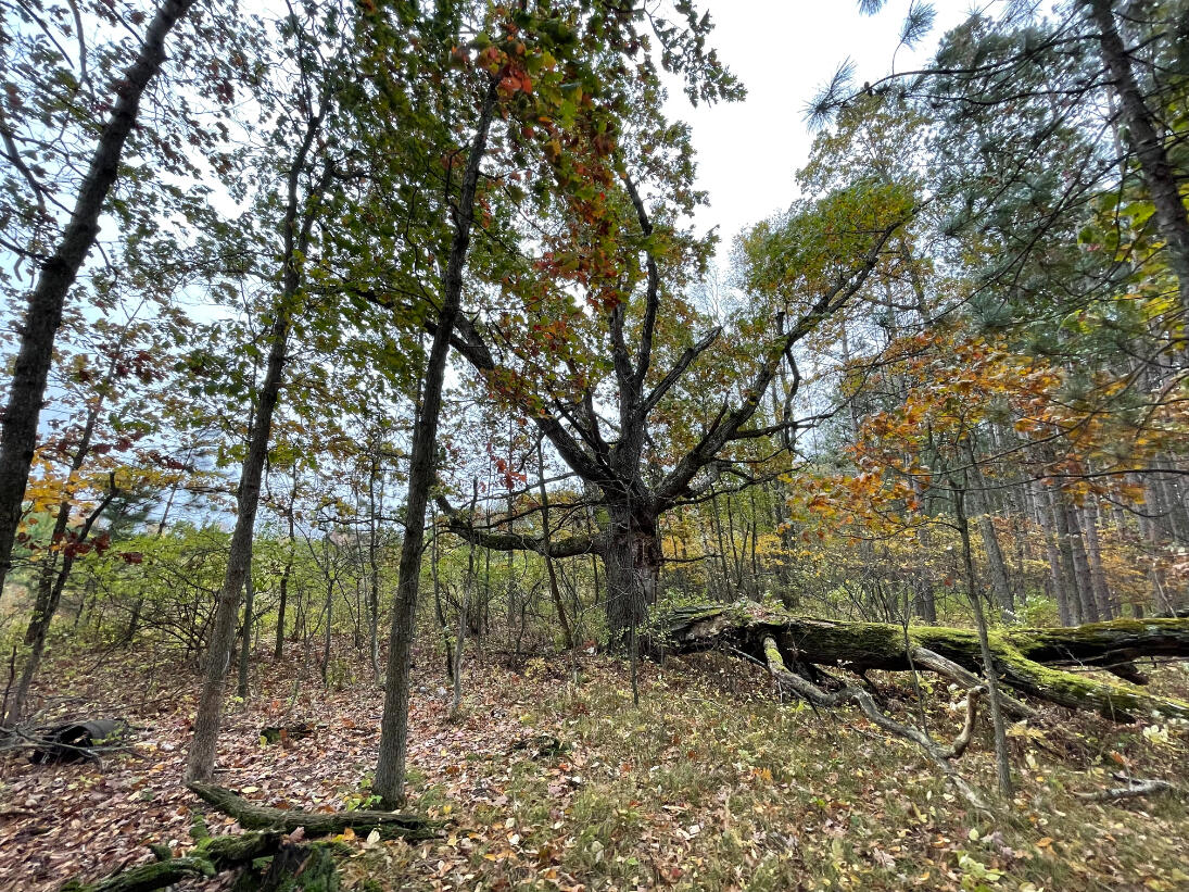 10775 West Remus Road Remus, MI 49340 - Photo 44 of 70 45